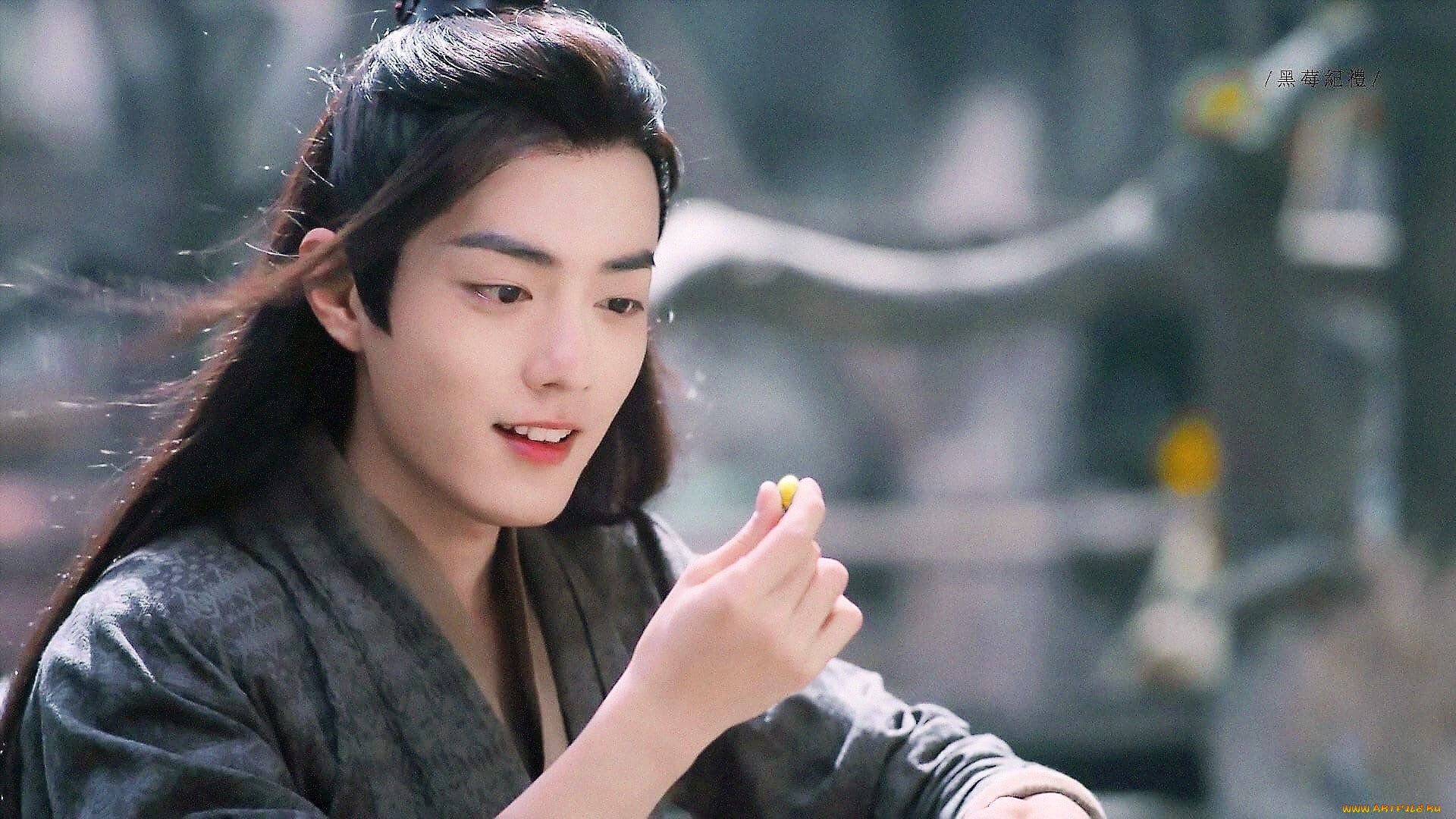 кино, фильмы, the, untamed, вэй, усянь, зернышко