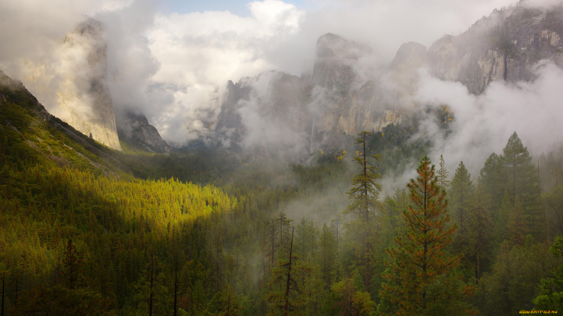 природа, горы, леса, туман