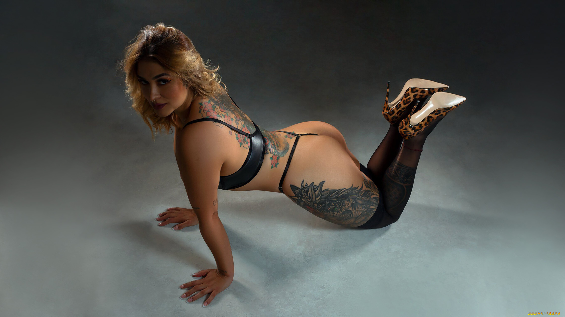 девушки, cyntia, adams, cyntia, adams