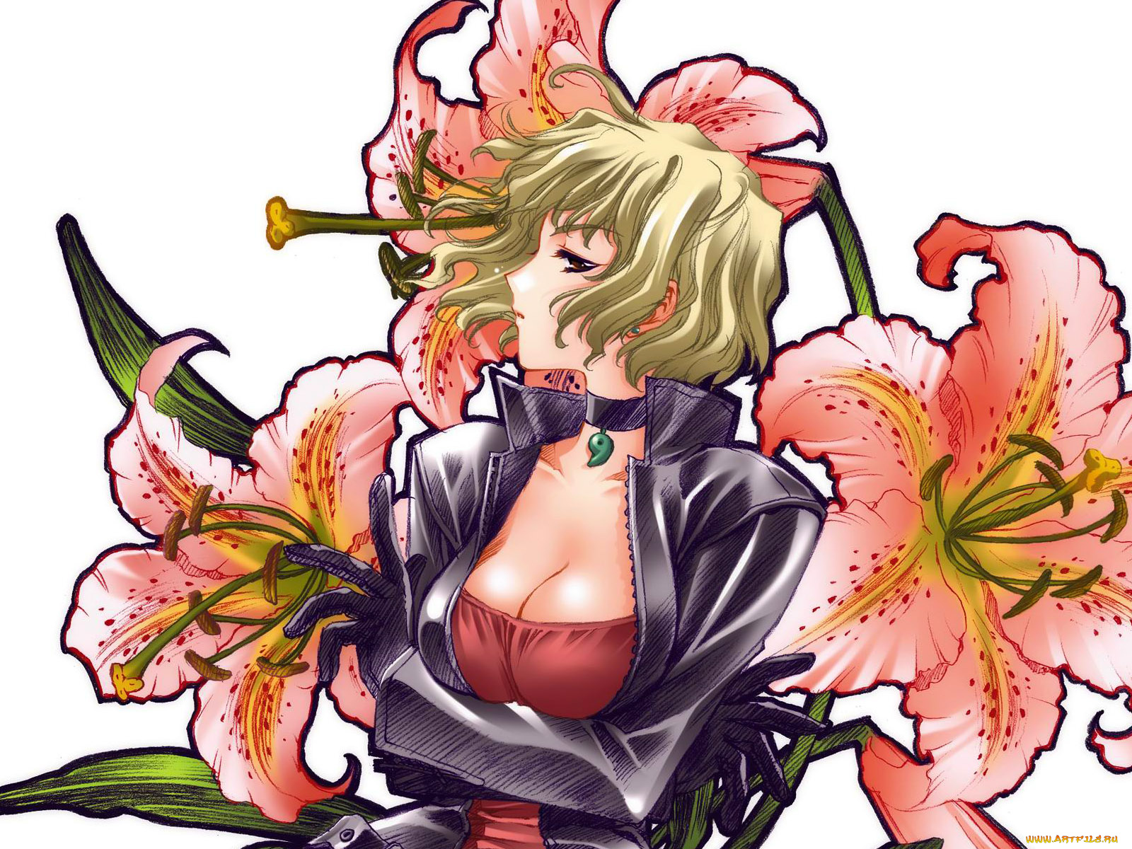 аниме, moonlight, lady