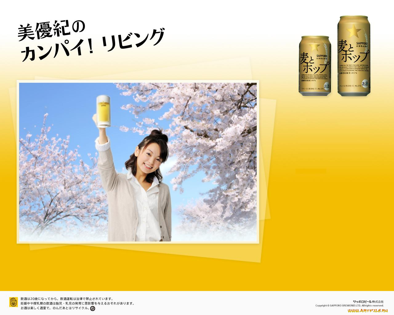 бренды, другое