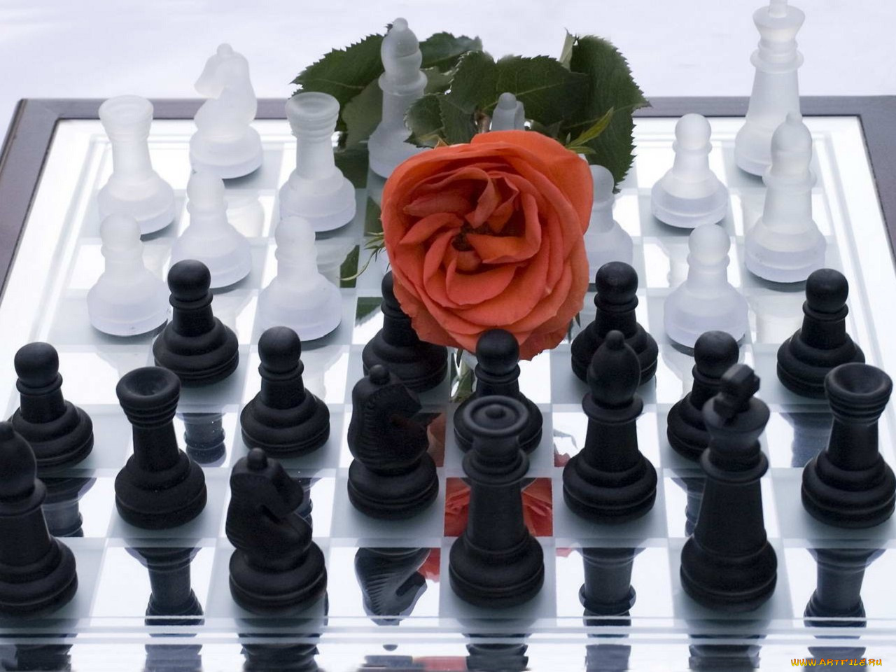 разное, настольные, игры, азартные