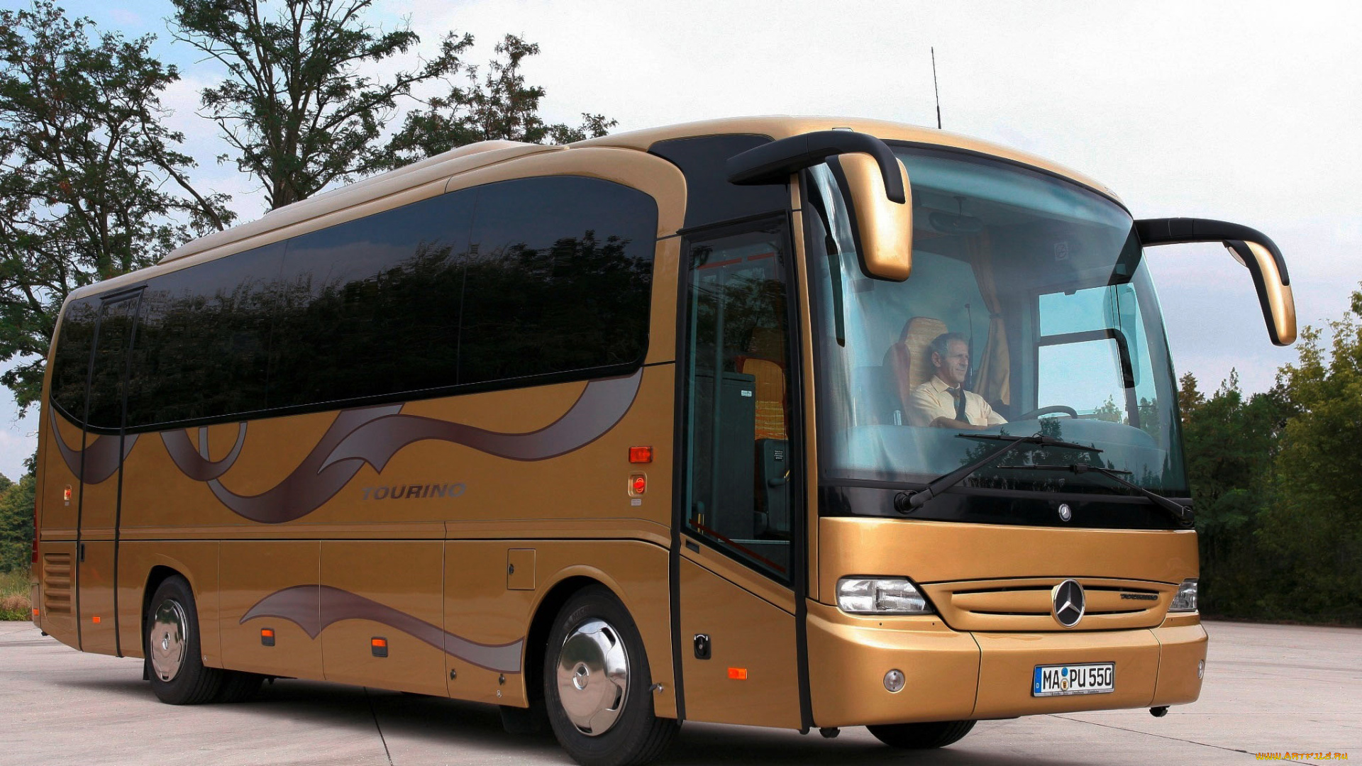 автомобили, автобусы