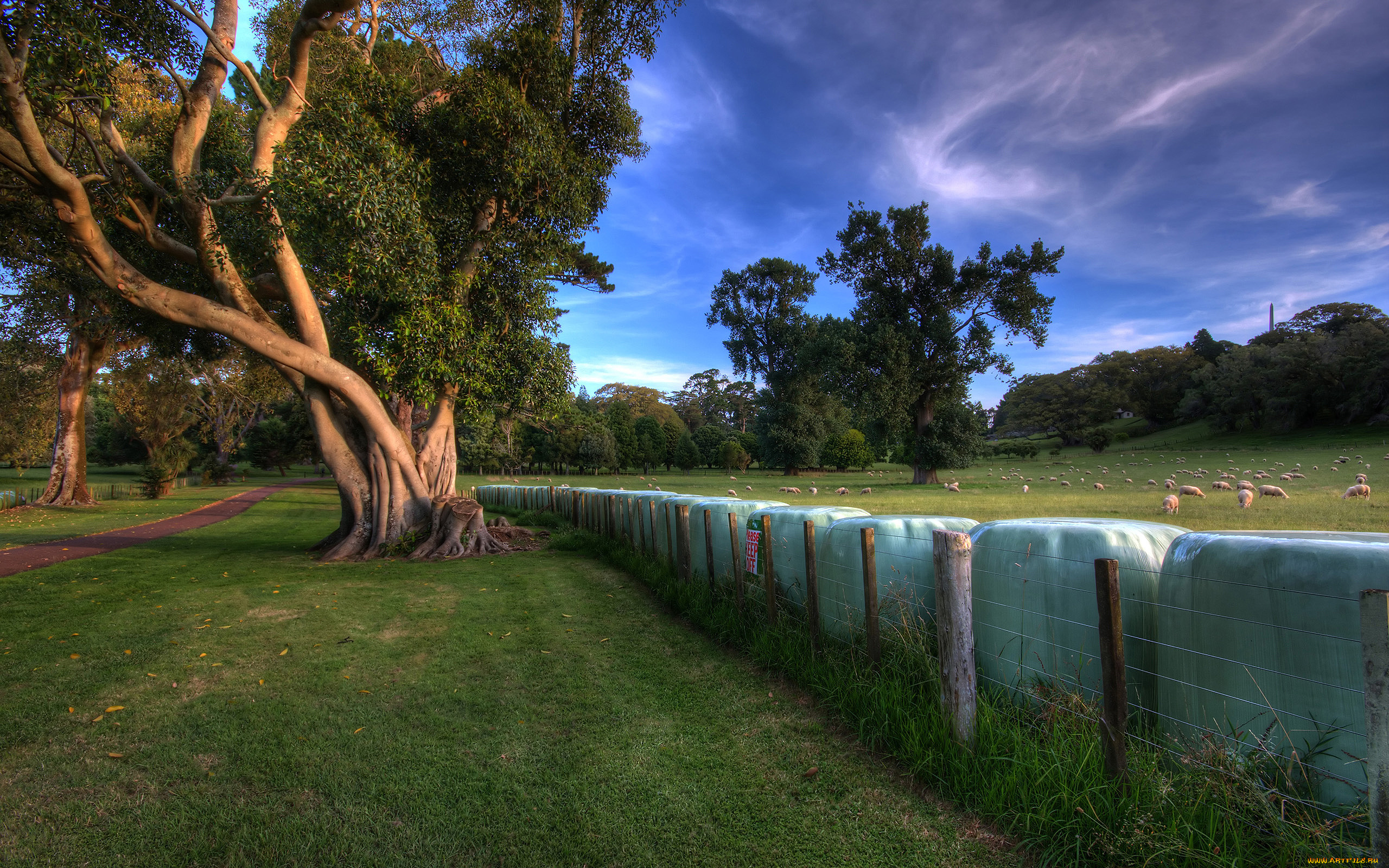 природа, реки, озера