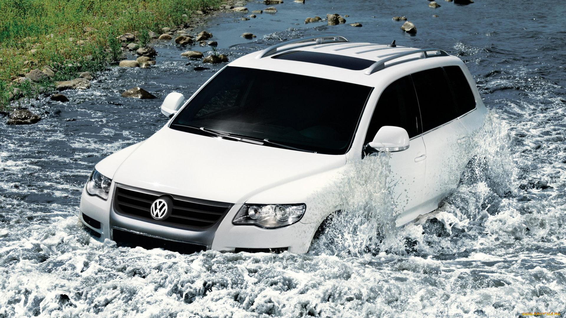 автомобили, volkswagen