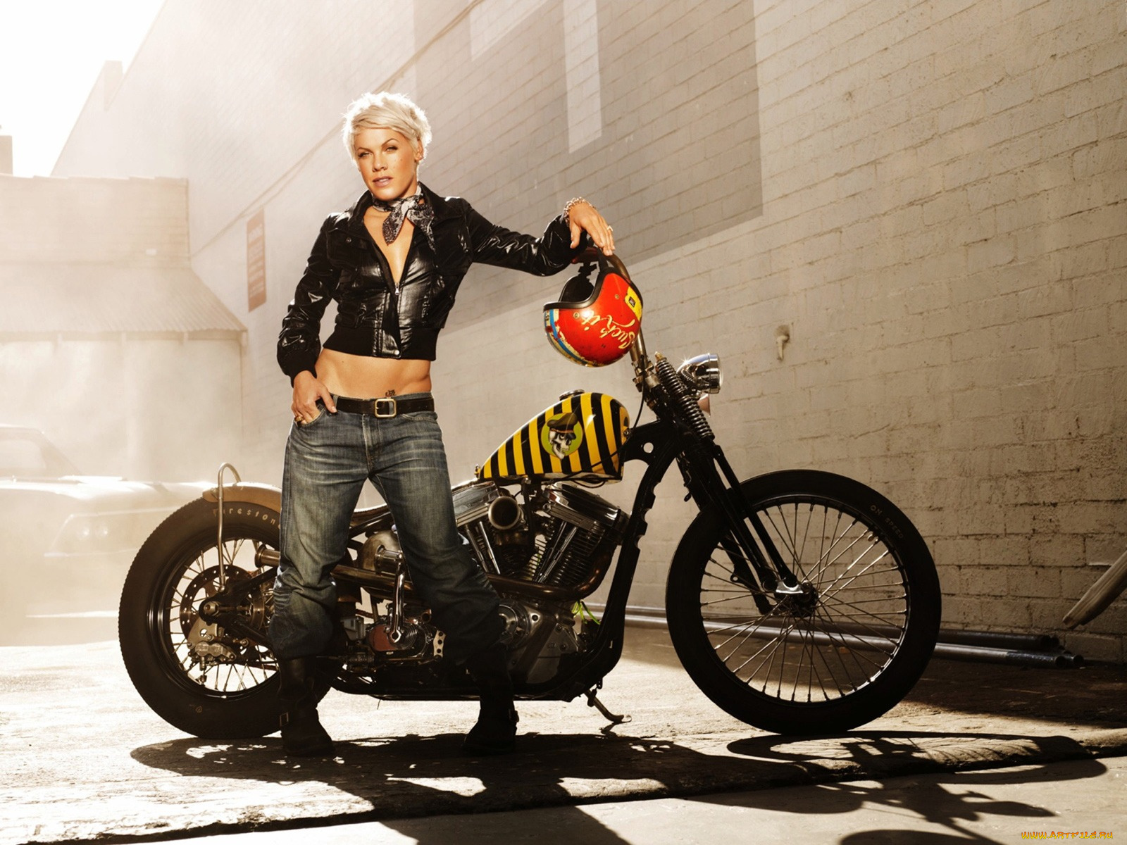 alecia, moore, музыка, pink