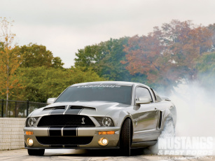 Картинка автомобили mustang