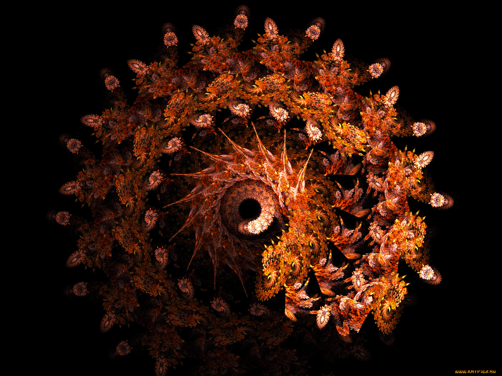 3д, графика, fractal, фракталы, фон, узор, цвета