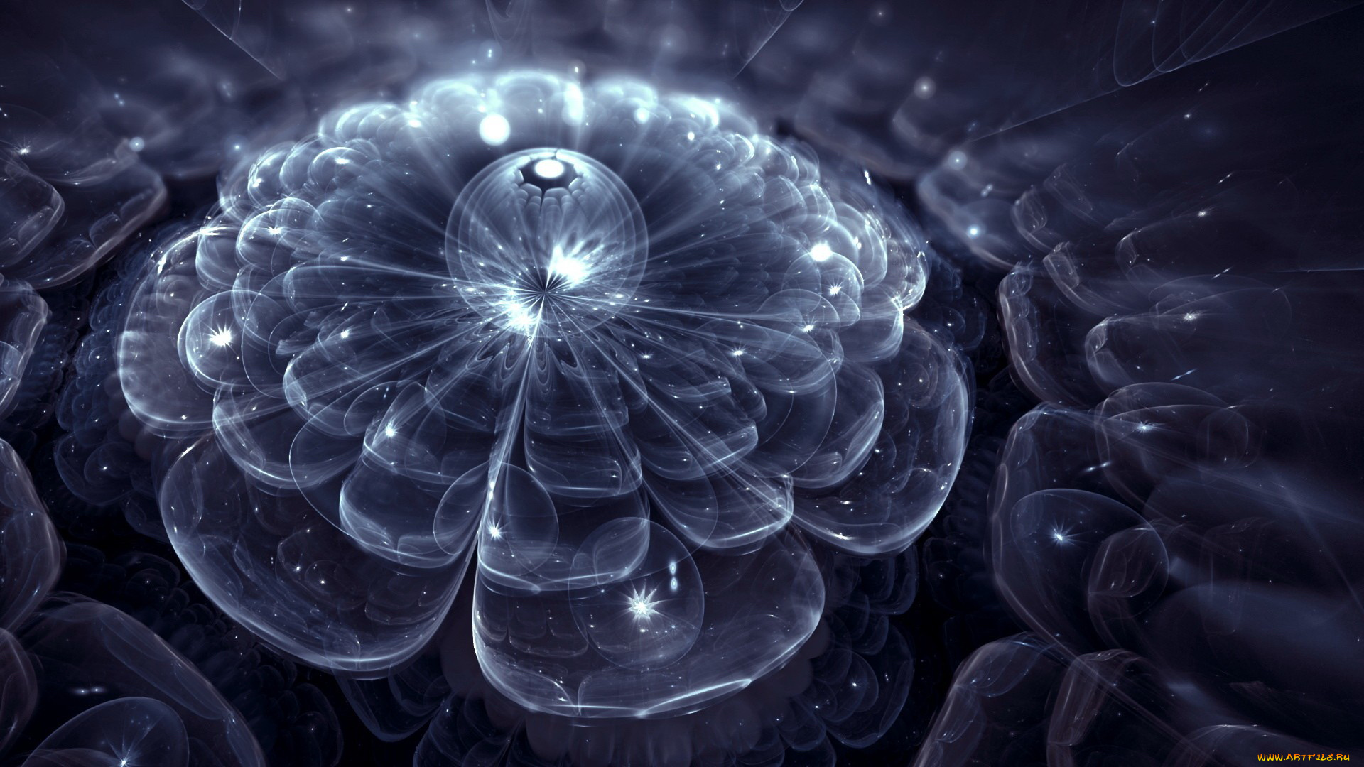 3д, графика, flowers, цветы, узор