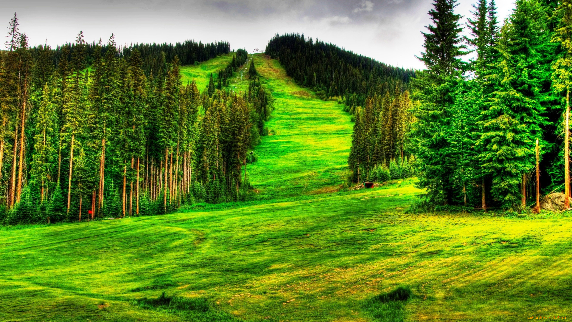 природа, деревья, лес, сопка, панорама