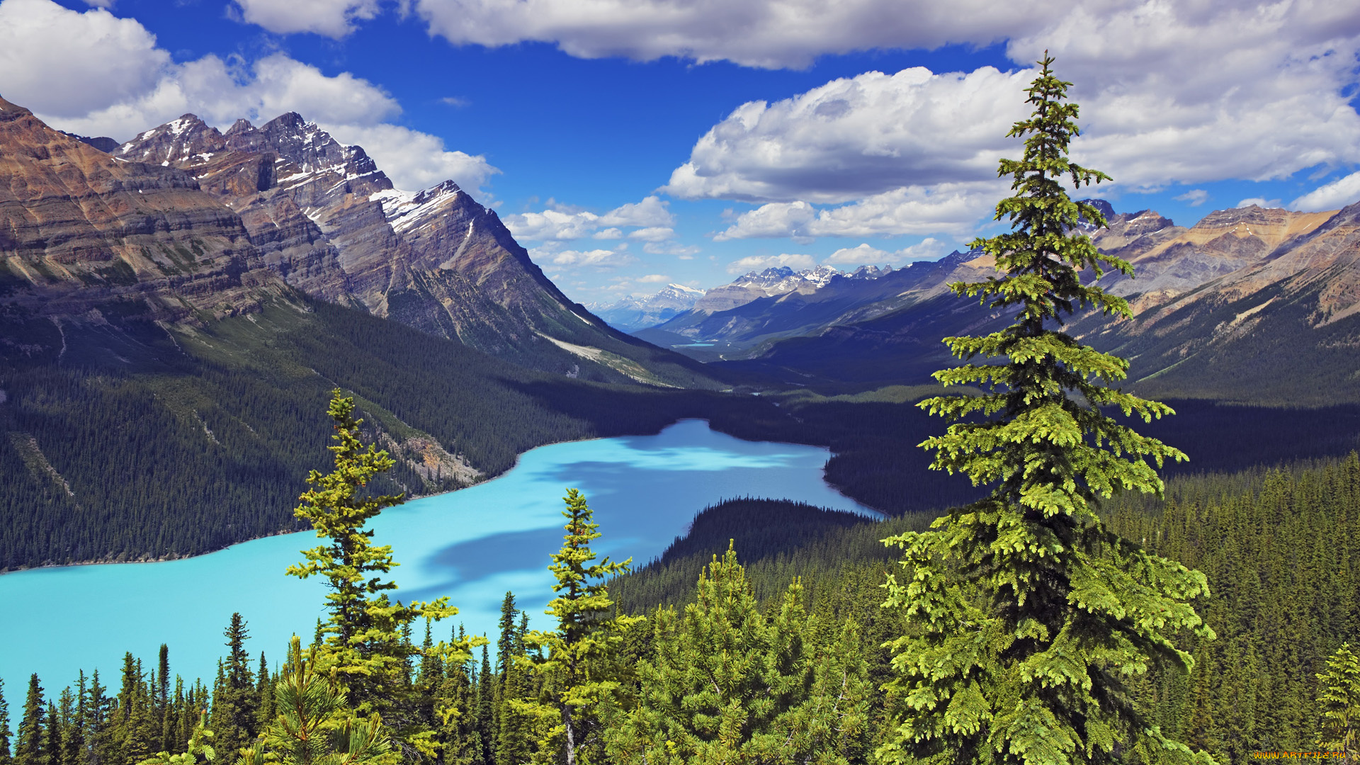 природа, реки, озера, облака, ели, озеро, peyto, lake, banff, national, park, canada, канада, горы, лес, деревья, пейзаж