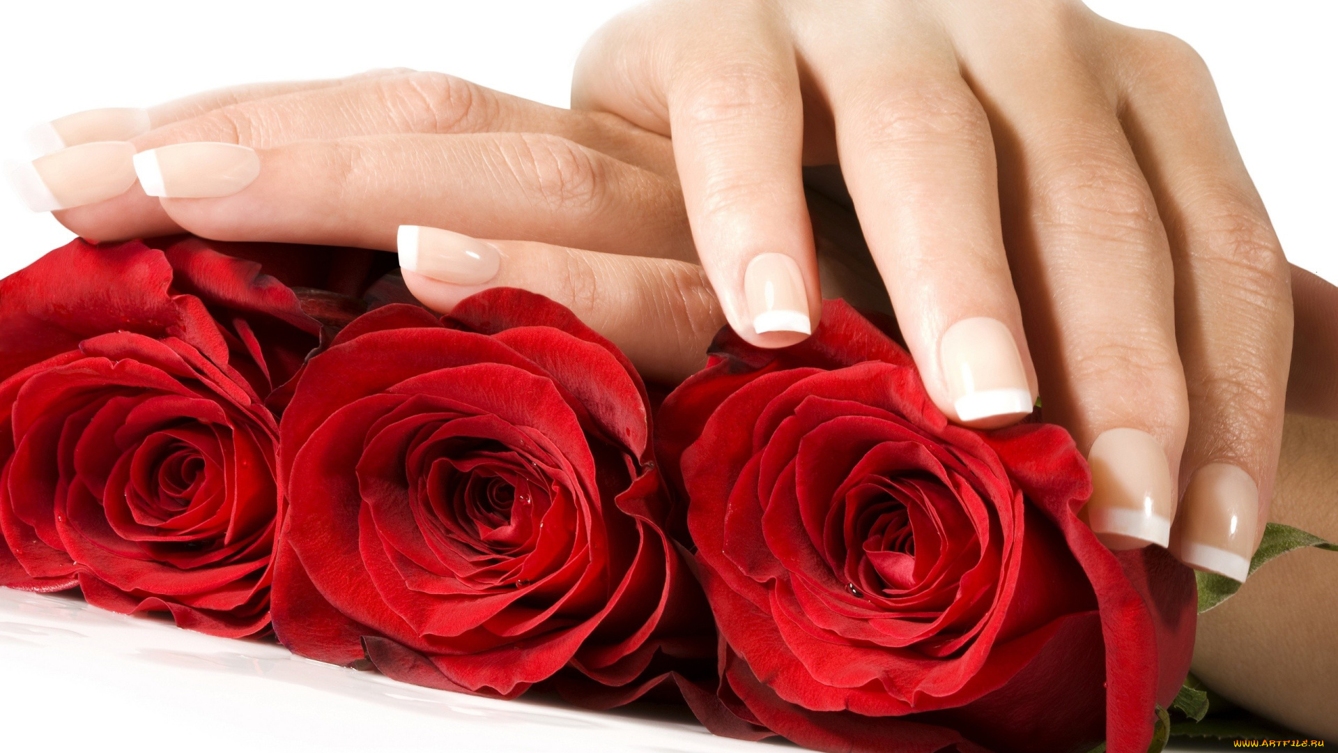 разное, руки, розы, маникюр