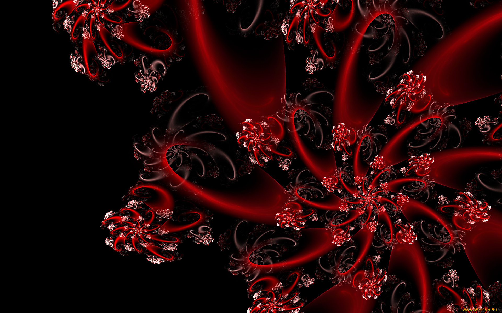 3д, графика, fractal, фракталы, узор, фон, цвета