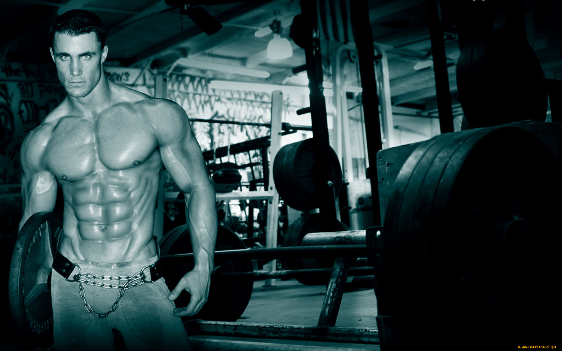 greg, plitt, мужчины, bodybuilder