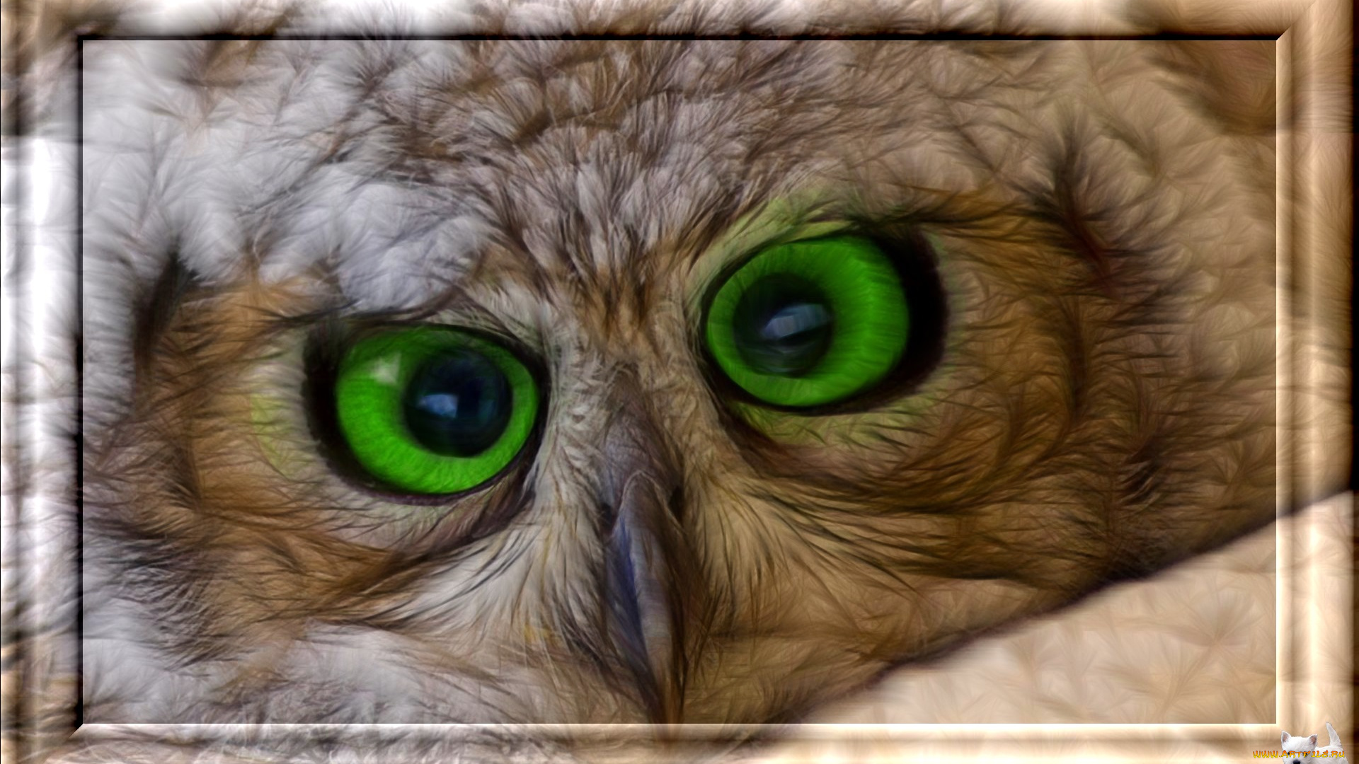 3д, графика, animals, животные, филин