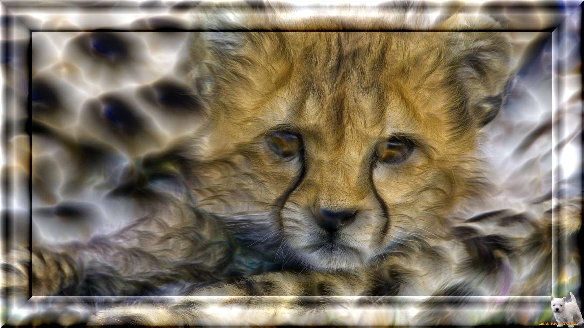 3д, графика, animals, животные, глаза