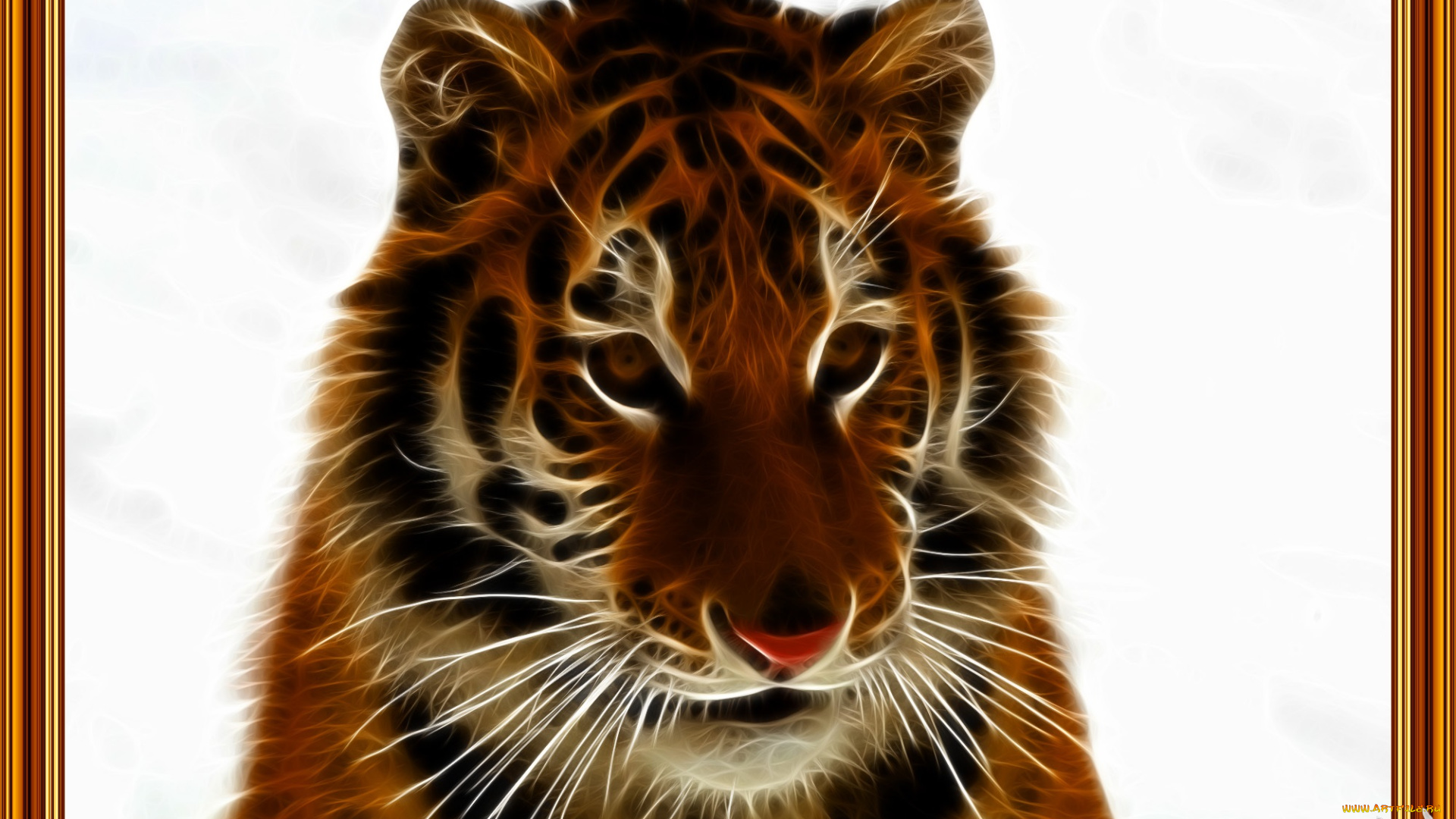 3д, графика, animals, животные, тигр