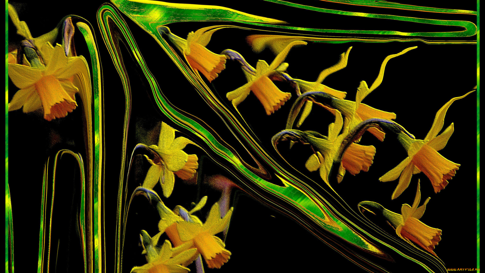 3д, графика, flowers, цветы, изгибы, линии, узор, цвета, фон