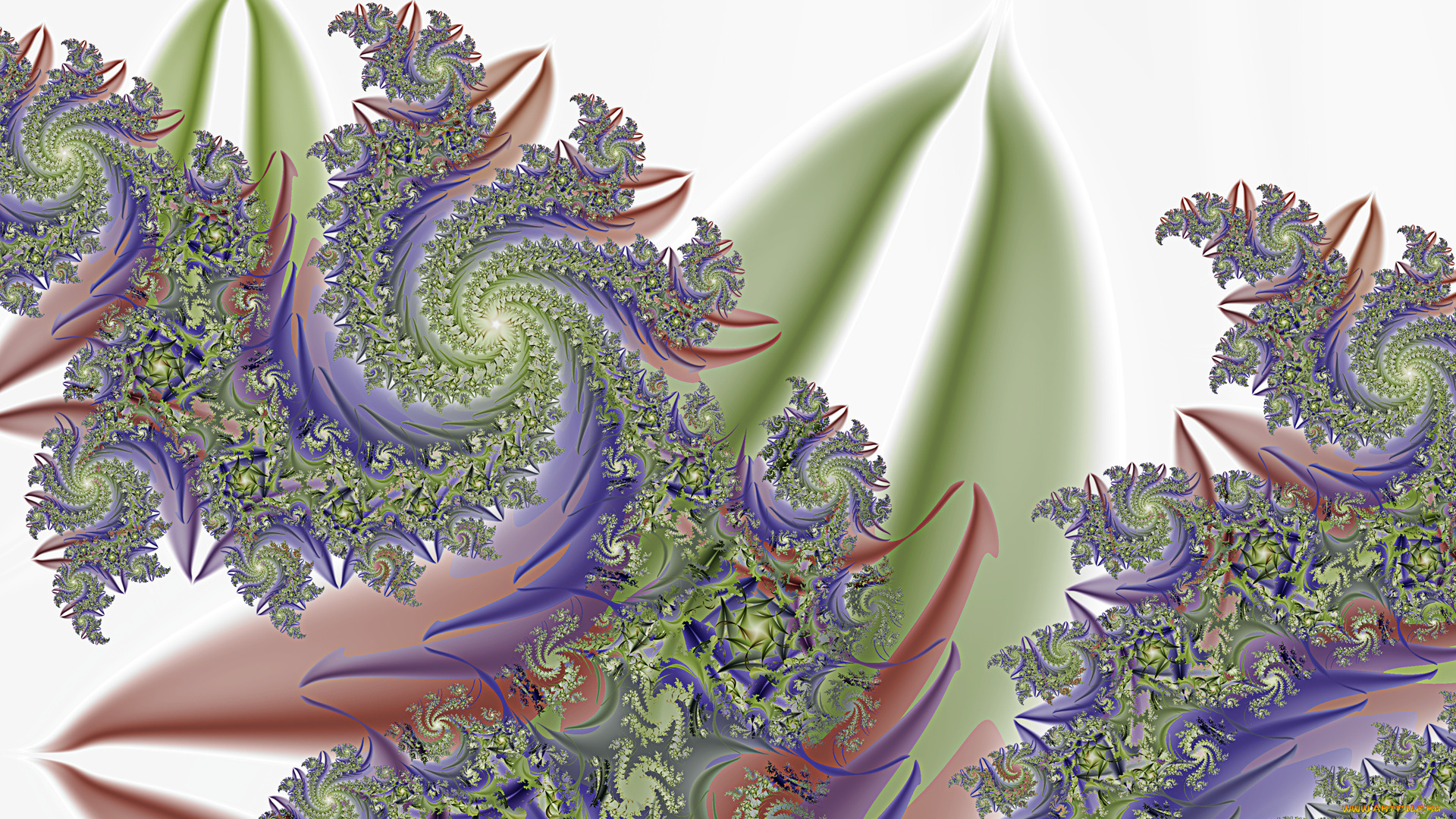 3д, графика, fractal, фракталы, изгибы, линии, узор, цвета, фон