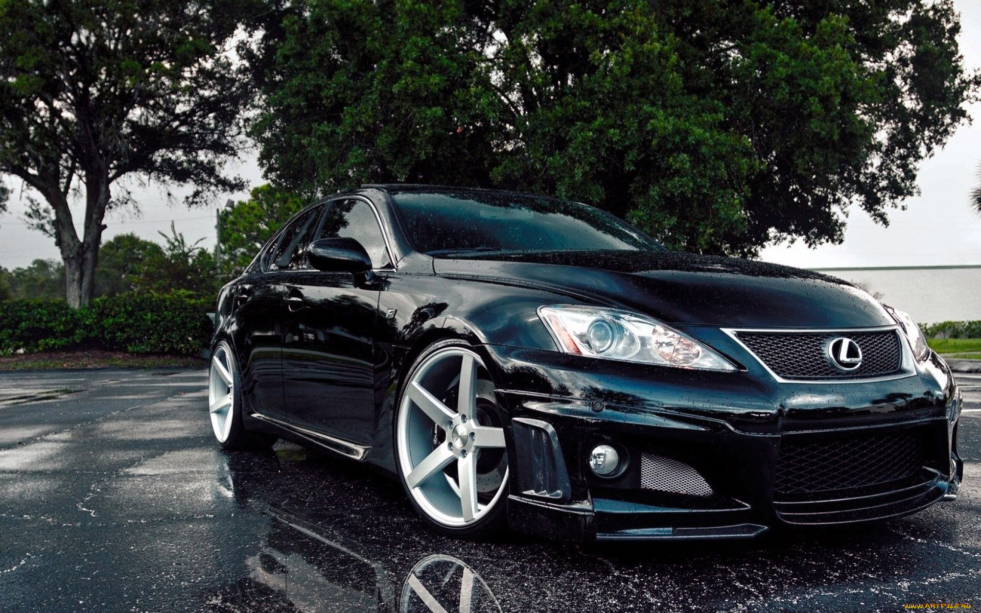 автомобили, lexus