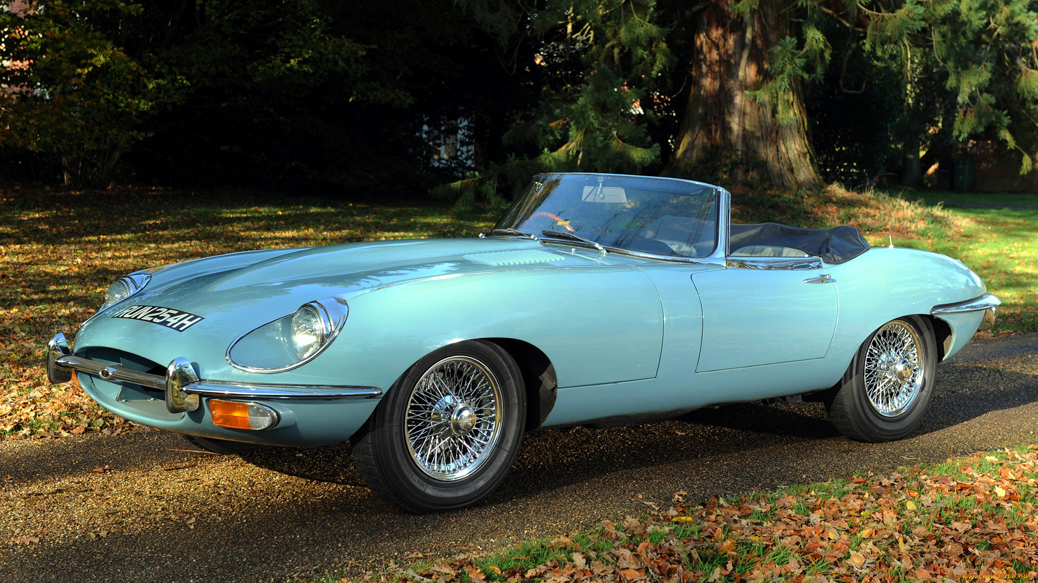 jaguar, type, автомобили, великобритания, land, rover, ltd