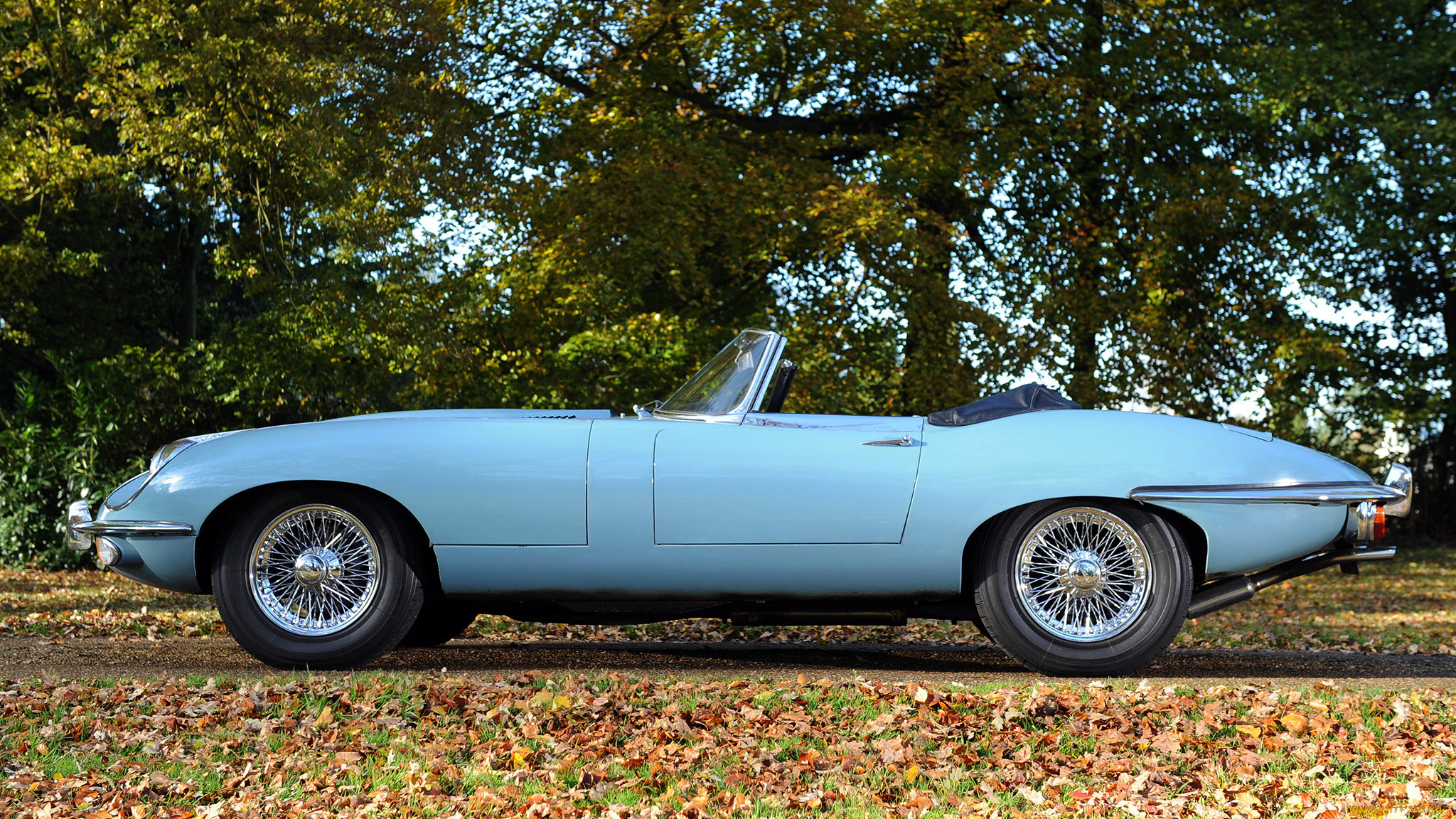 jaguar, type, автомобили, великобритания, land, rover, ltd