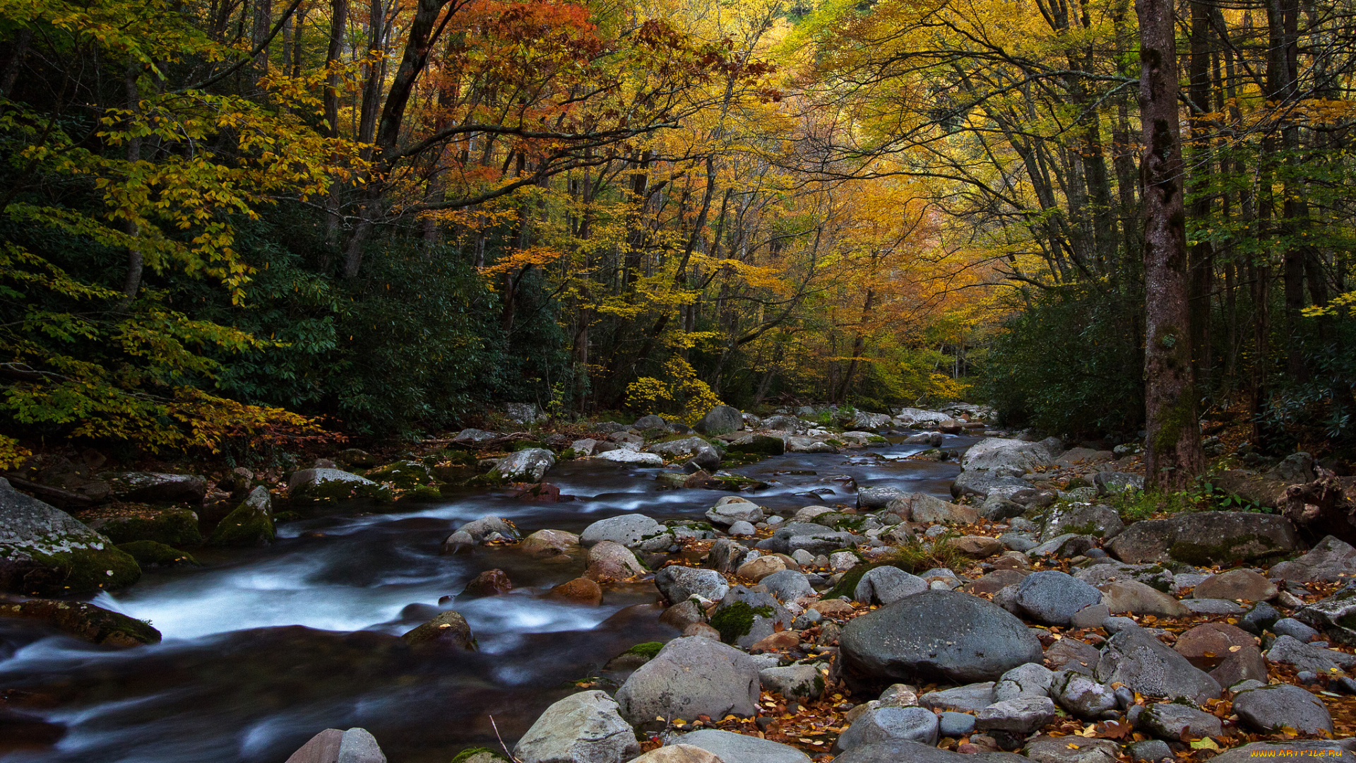big, creek, природа, реки, озера, камни, река, краски, лес, осень