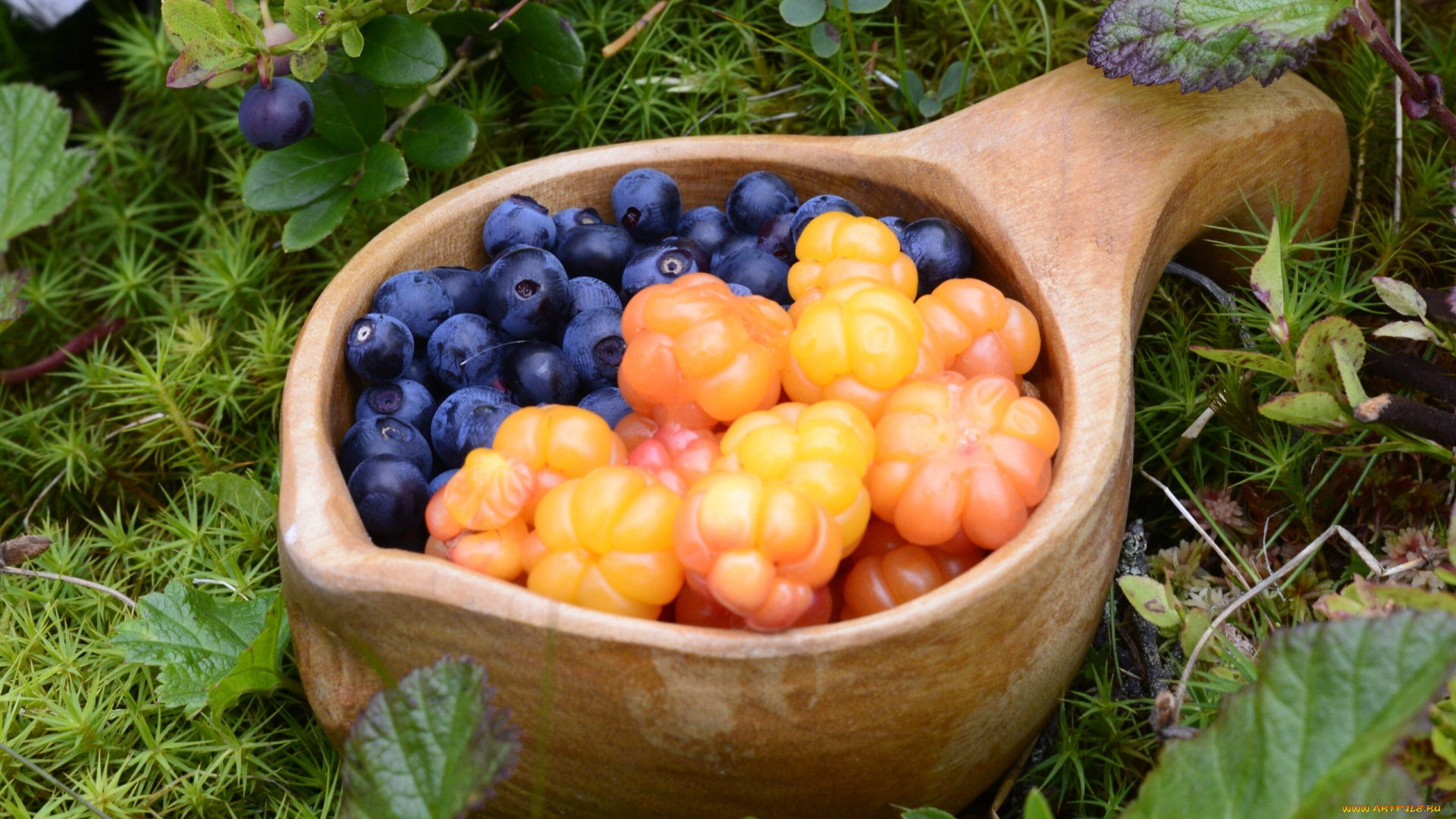 еда, фрукты, , ягоды, черника, ягоды, морошка