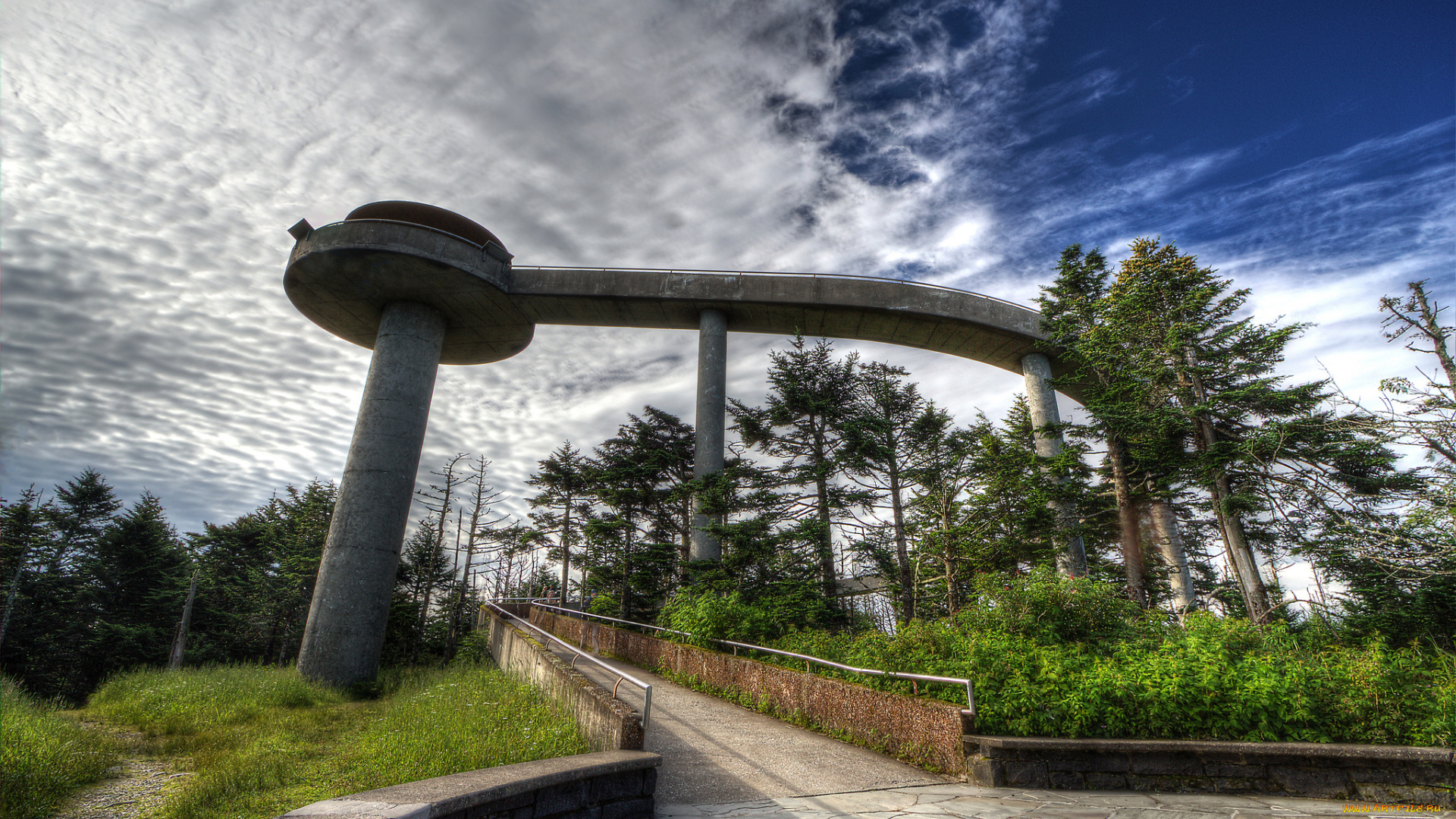 природа, дороги, смотровая, эстакада, площадка, дорожка, лес