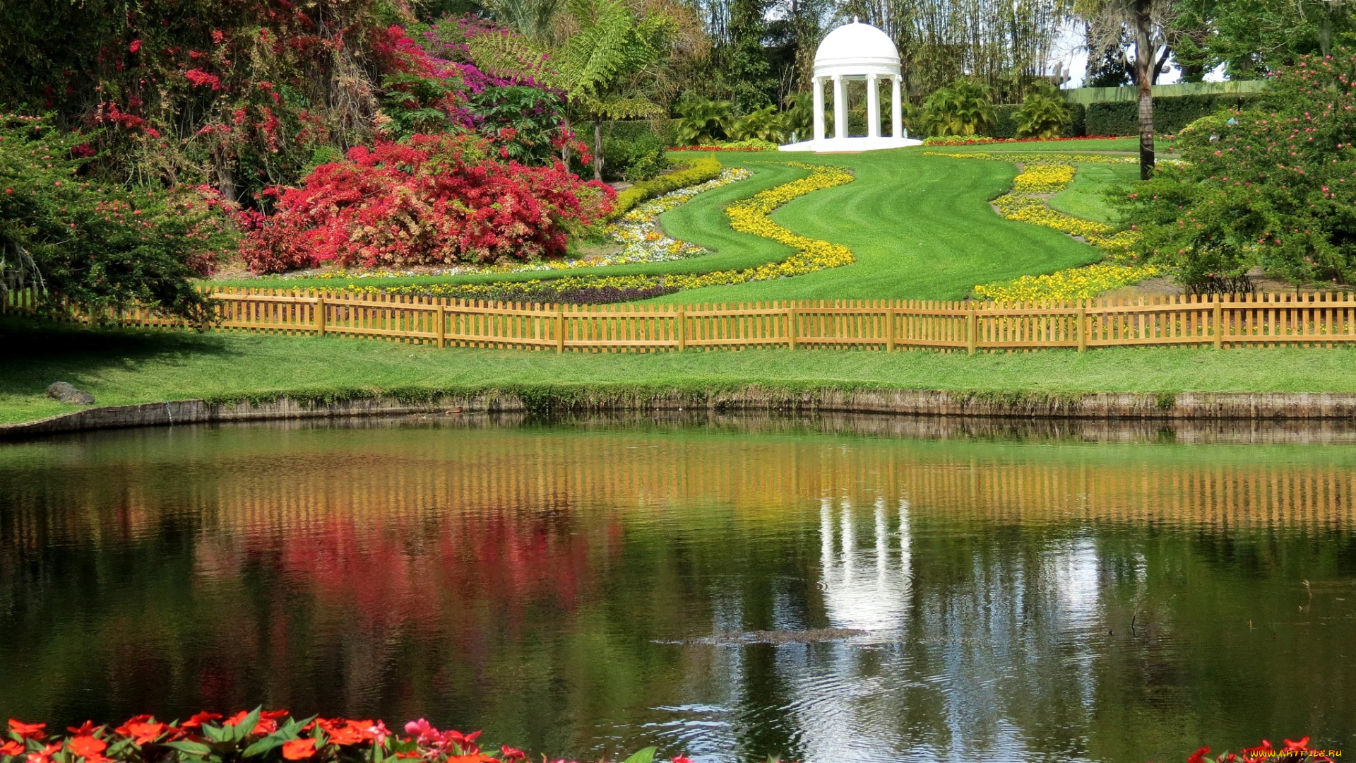 природа, парк, пруд, газон, беседка