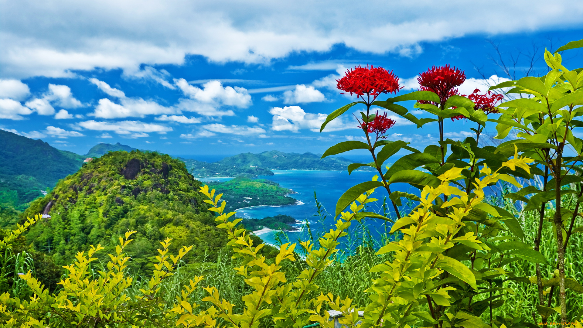 природа, пейзажи, озеро, пейзаж, цветы, горы