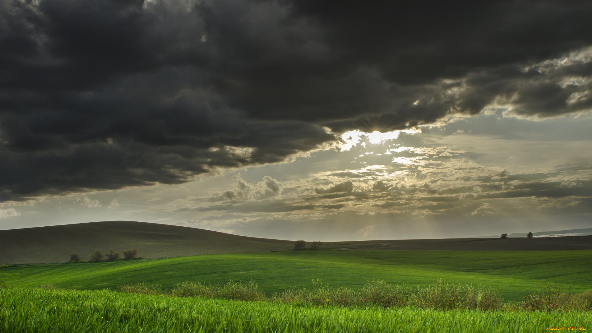 природа, поля, небо, холмы, трава, свет, лучи, солнце, тучи