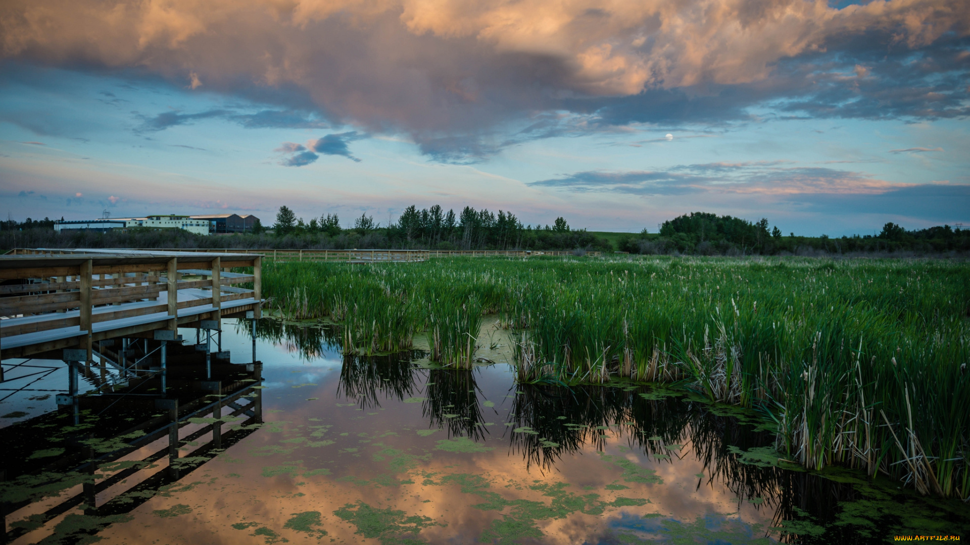 природа, реки, озера, озеро, тучи, мостик, осока