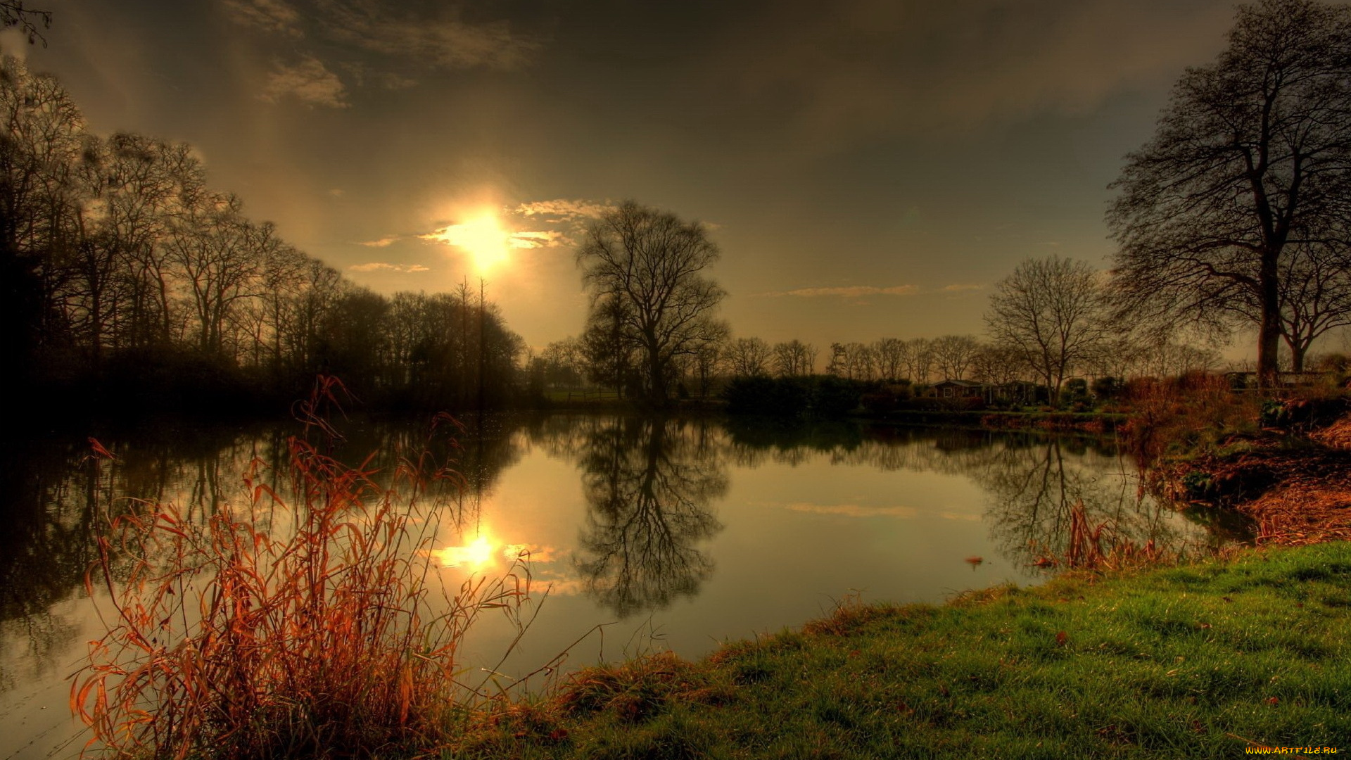 природа, реки, озера, растения, закат, вода, озеро