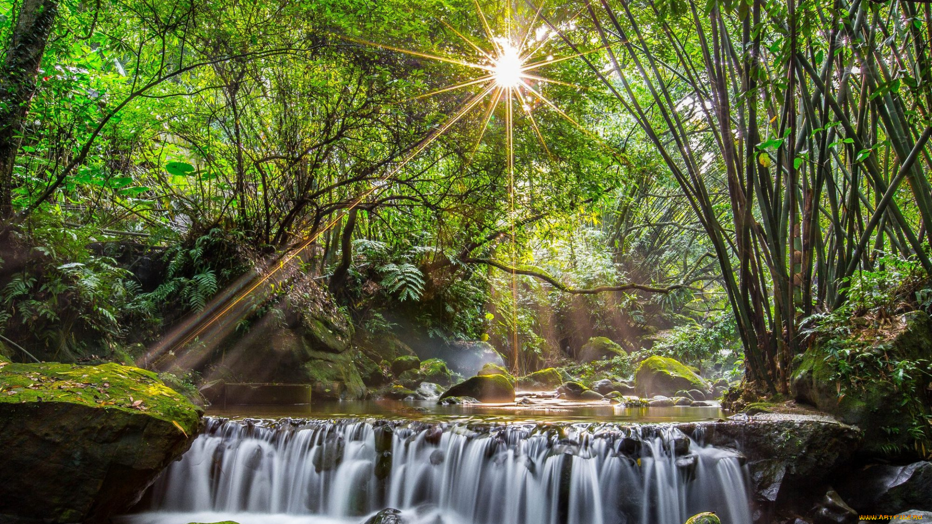 природа, водопады, водопад, деревья, поток, лучи