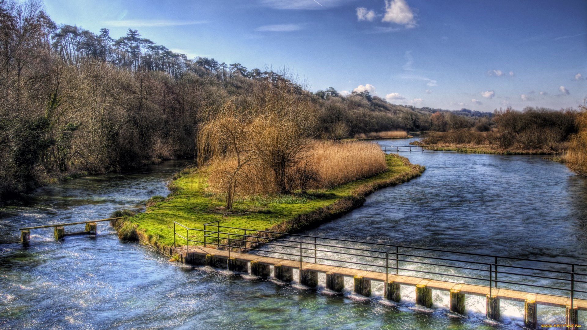 река, тест, англия, природа, реки, озера, деревья, тест, река, англия, мост