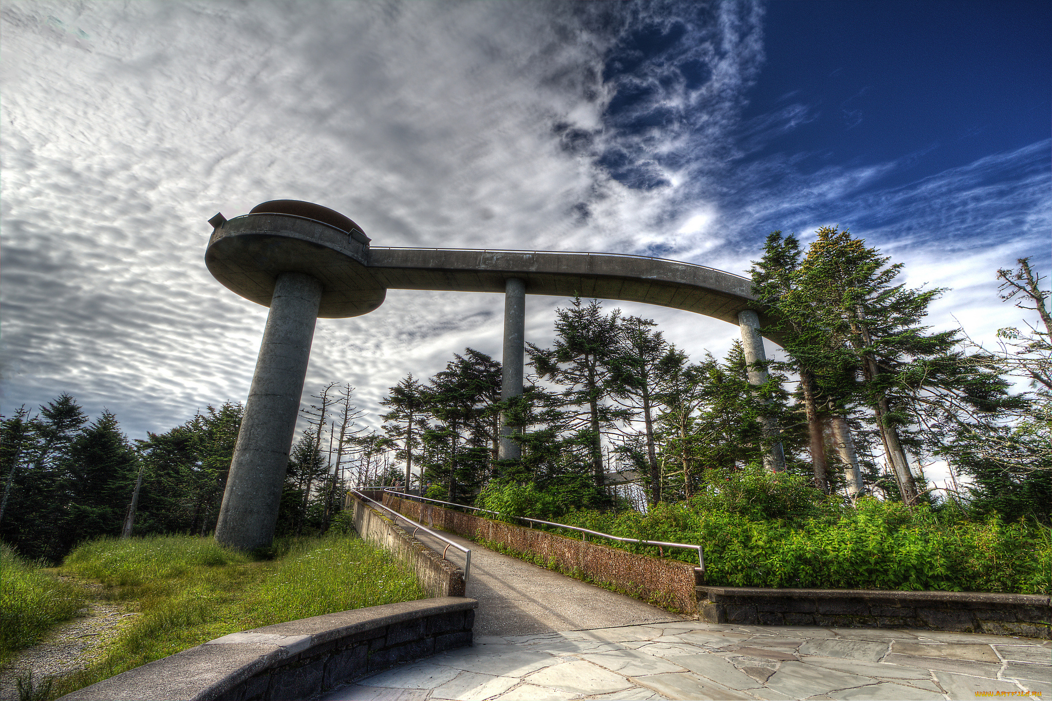 природа, дороги, смотровая, эстакада, площадка, дорожка, лес