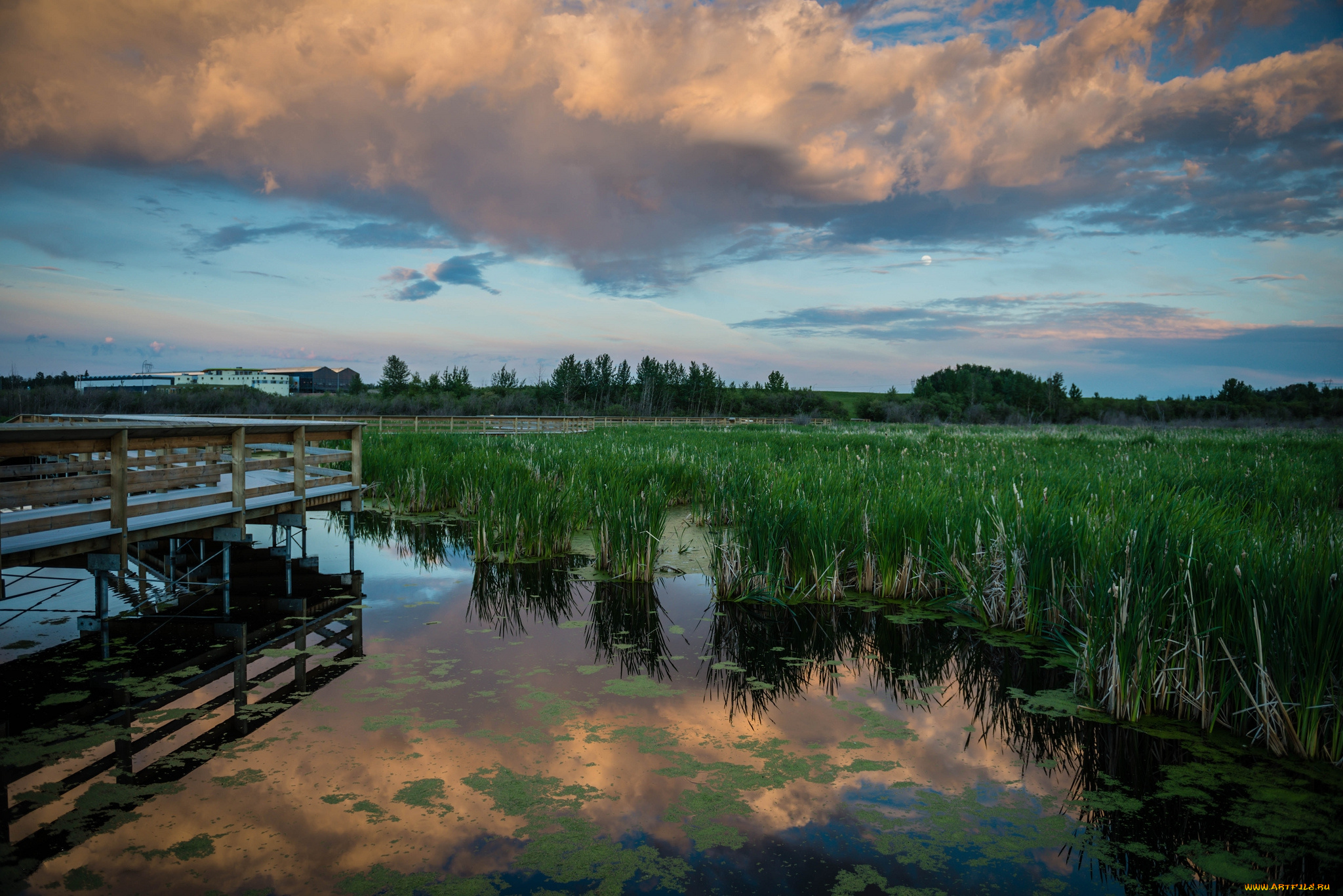 природа, реки, озера, озеро, тучи, мостик, осока