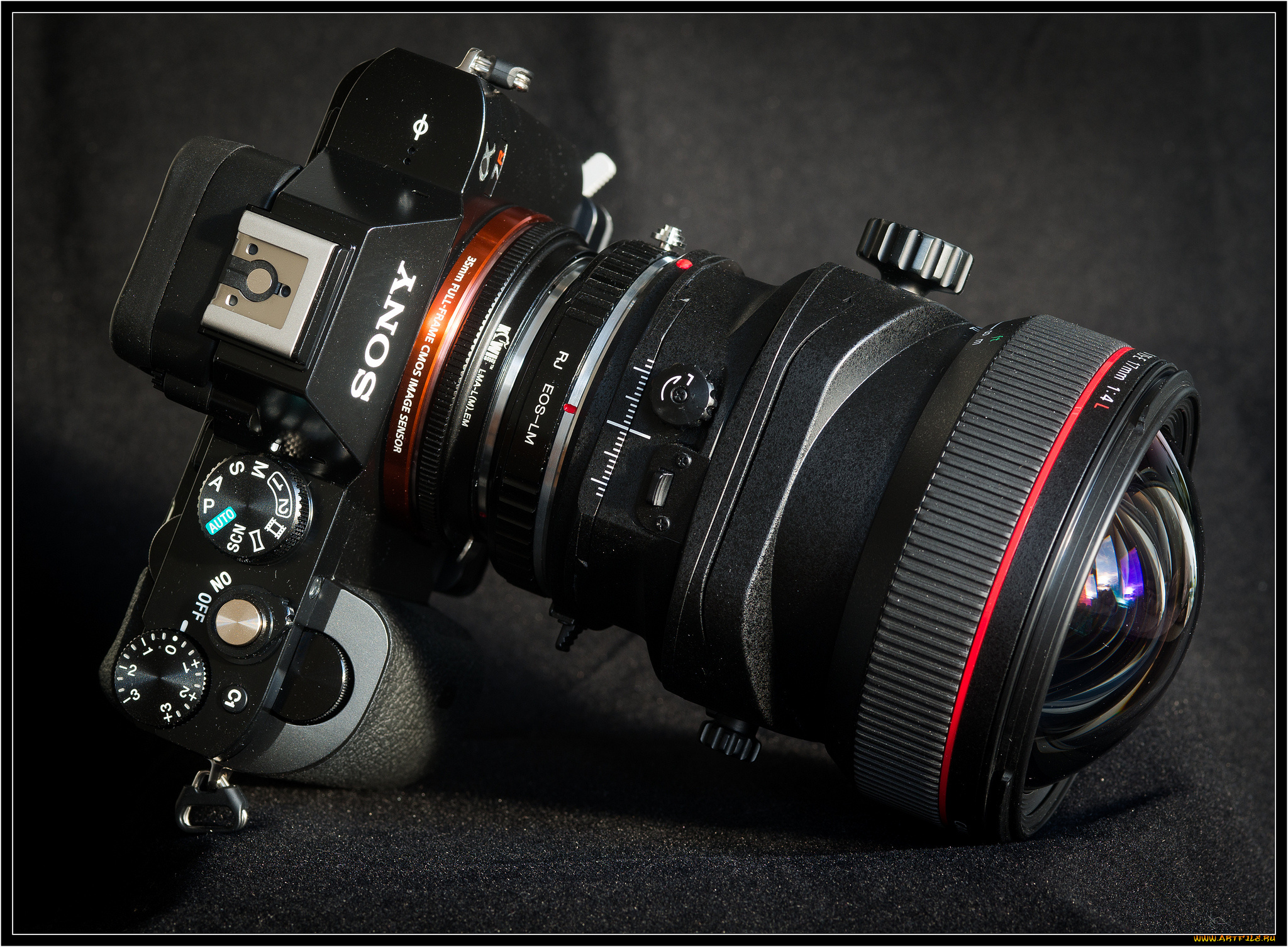 бренды, sony, фотокамера, объектив