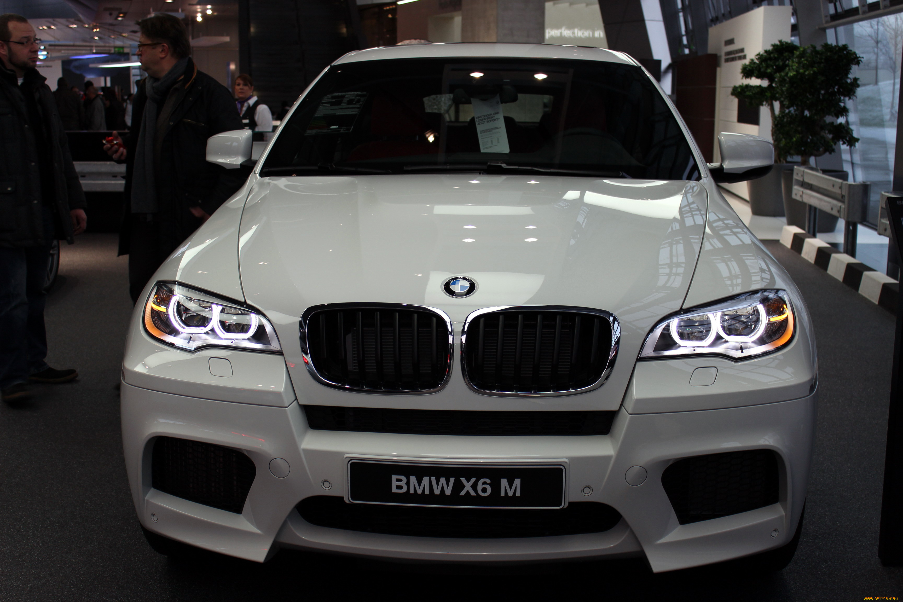 автомобили, выставки, и, уличные, фото, bmw