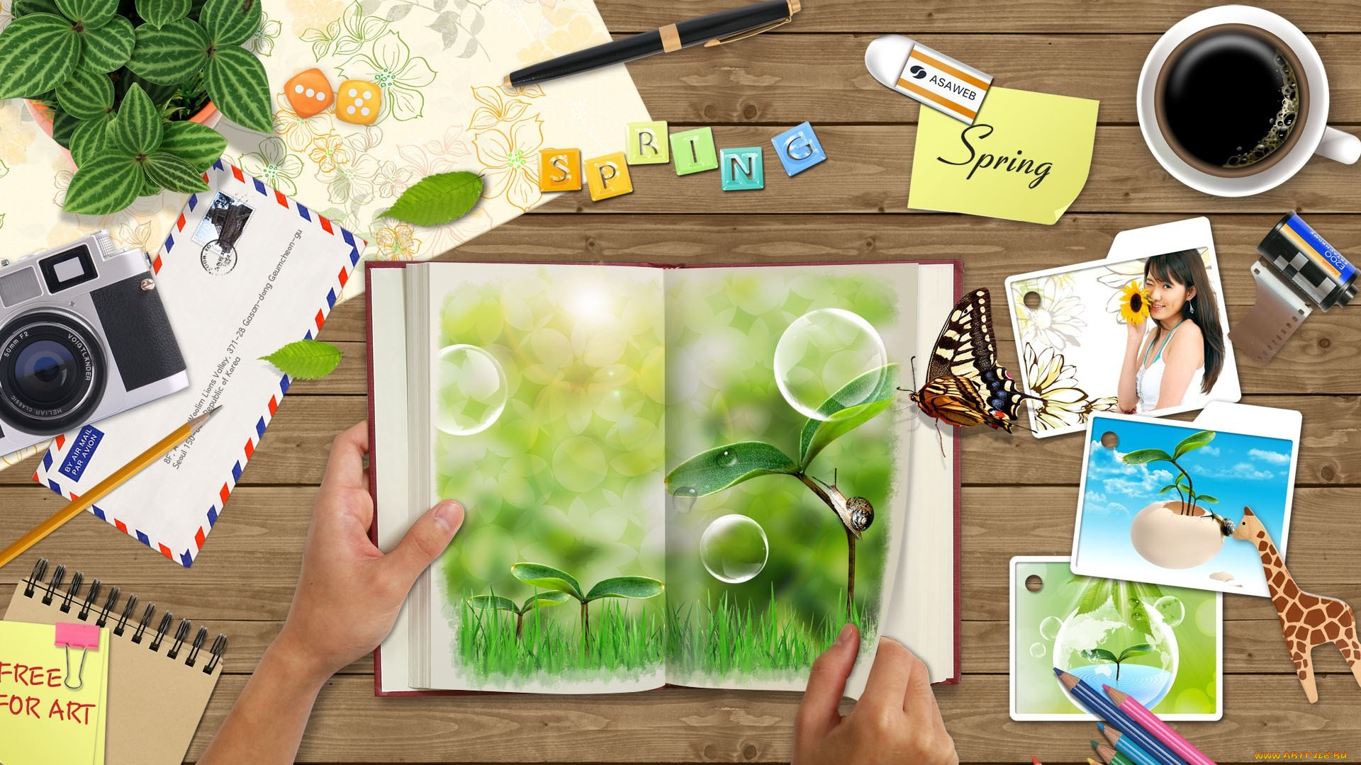 разное, компьютерный, дизайн, тетрадь, природа