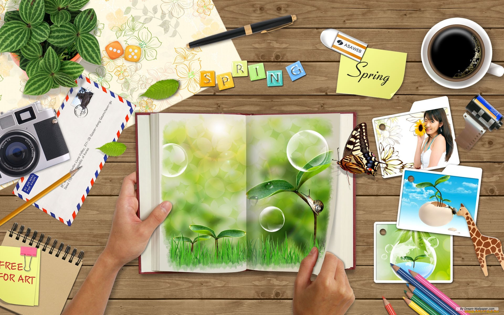 разное, компьютерный, дизайн, тетрадь, природа