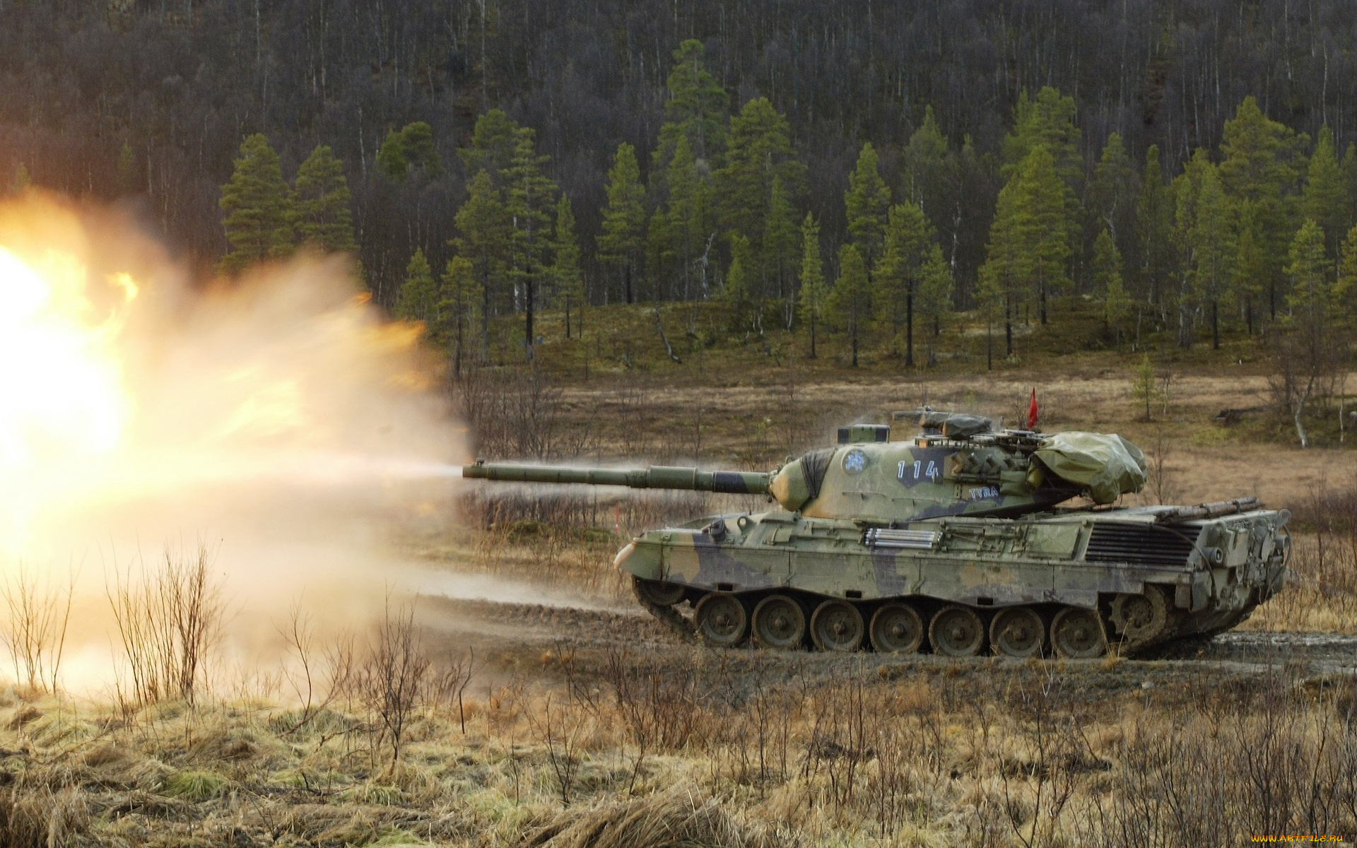 техника, военная, техника, танк, стрельба, полигон, лес, леопард