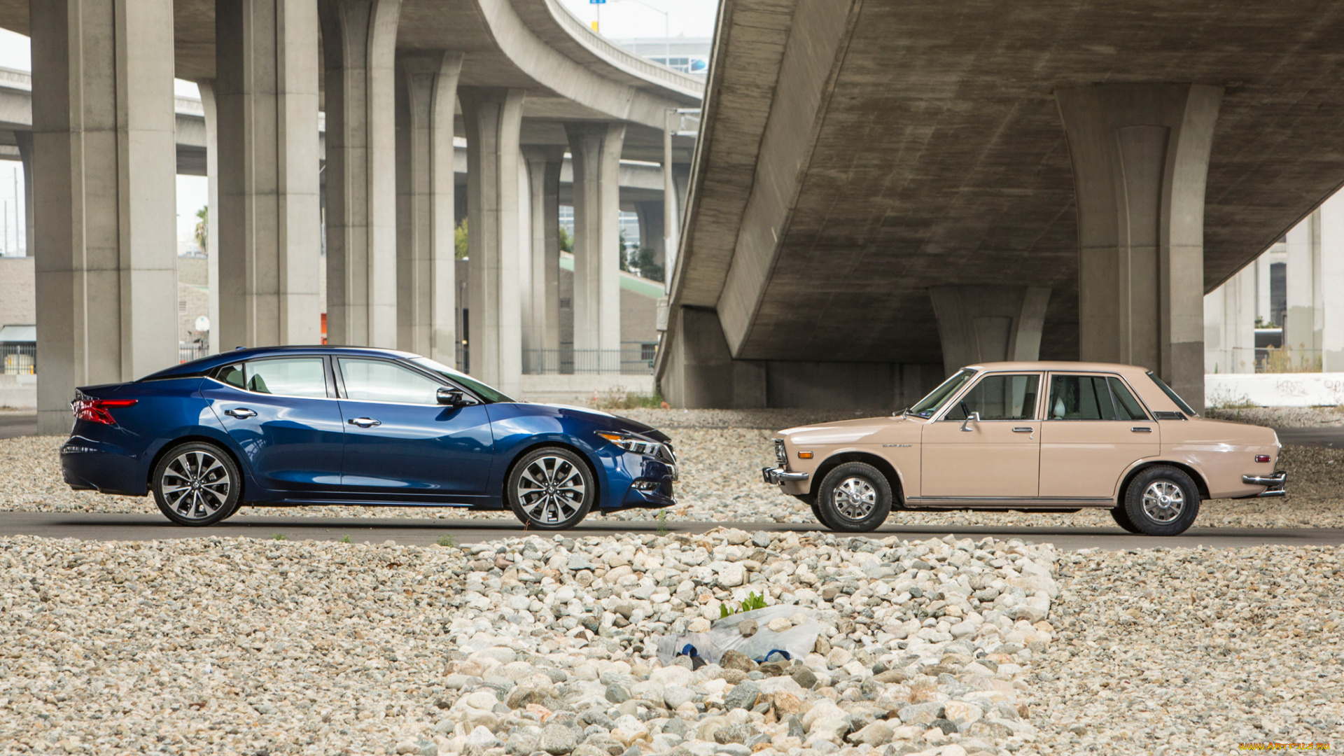 автомобили, nissan, datsun