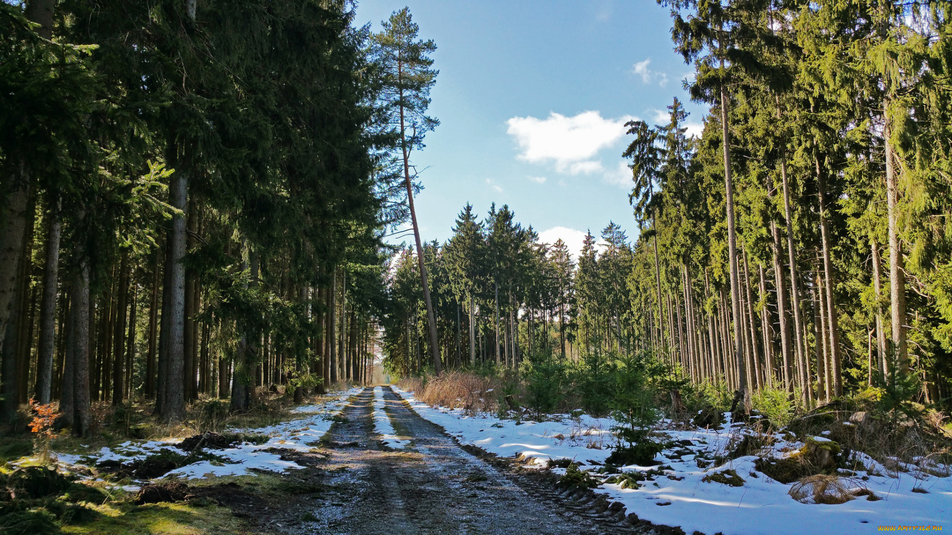 природа, дороги, тракт