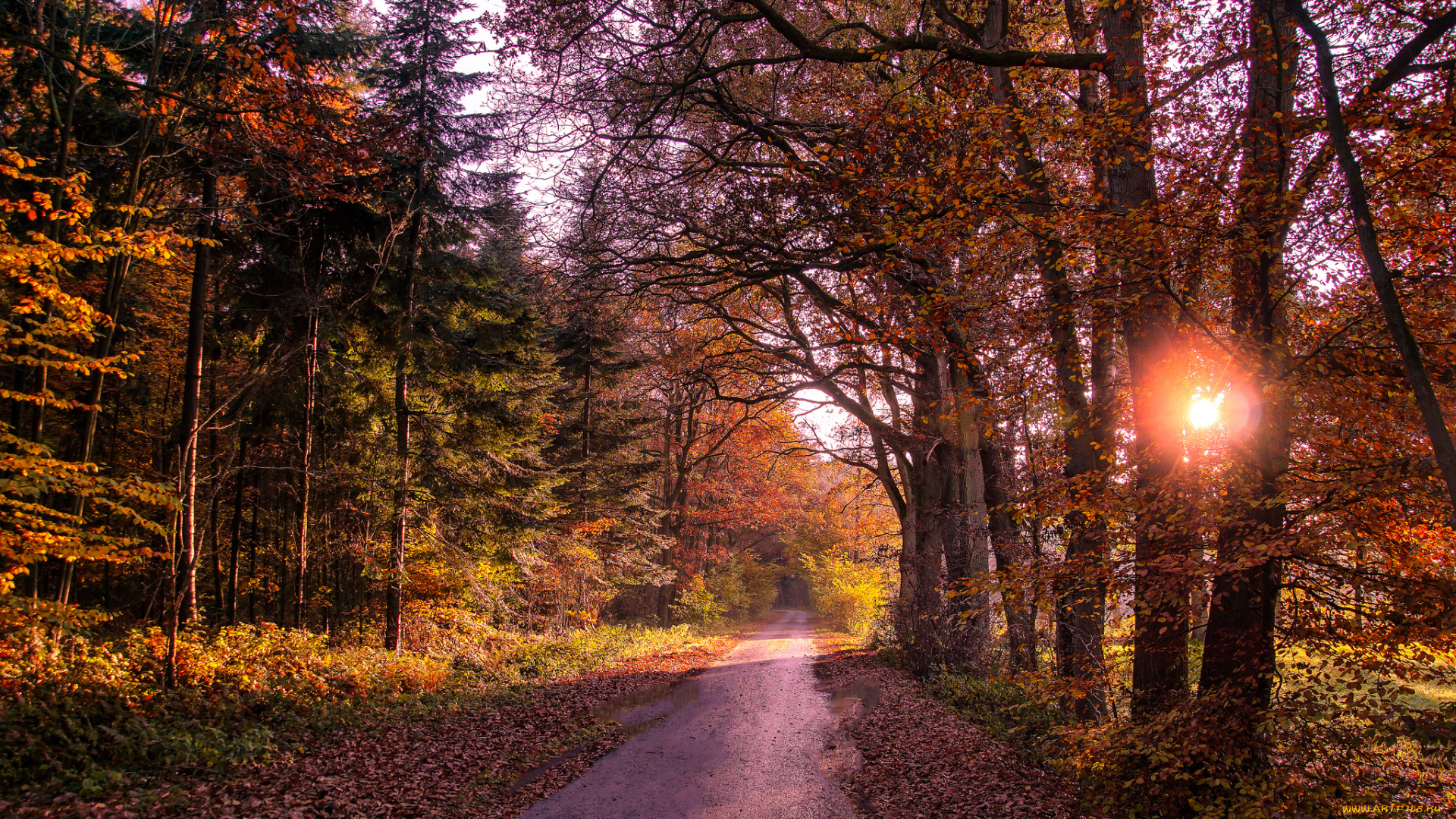 природа, дороги, тракт