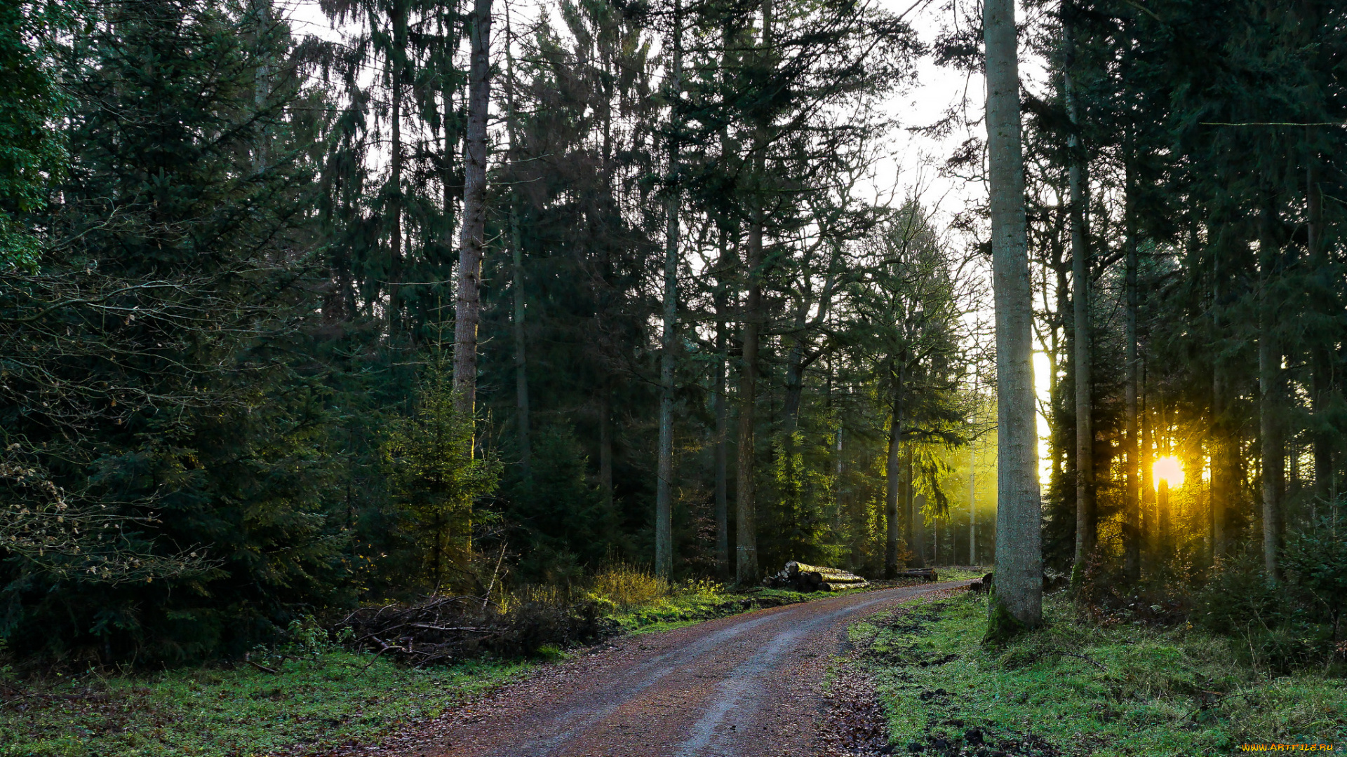 природа, дороги, тракт