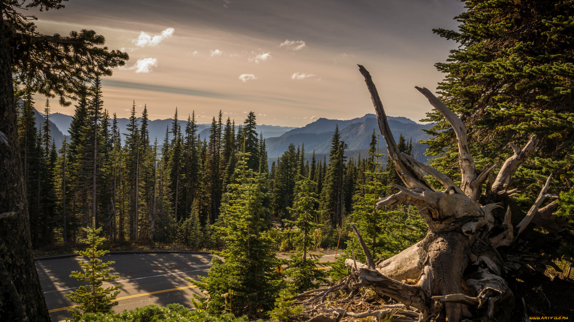 природа, пейзажи, тракт