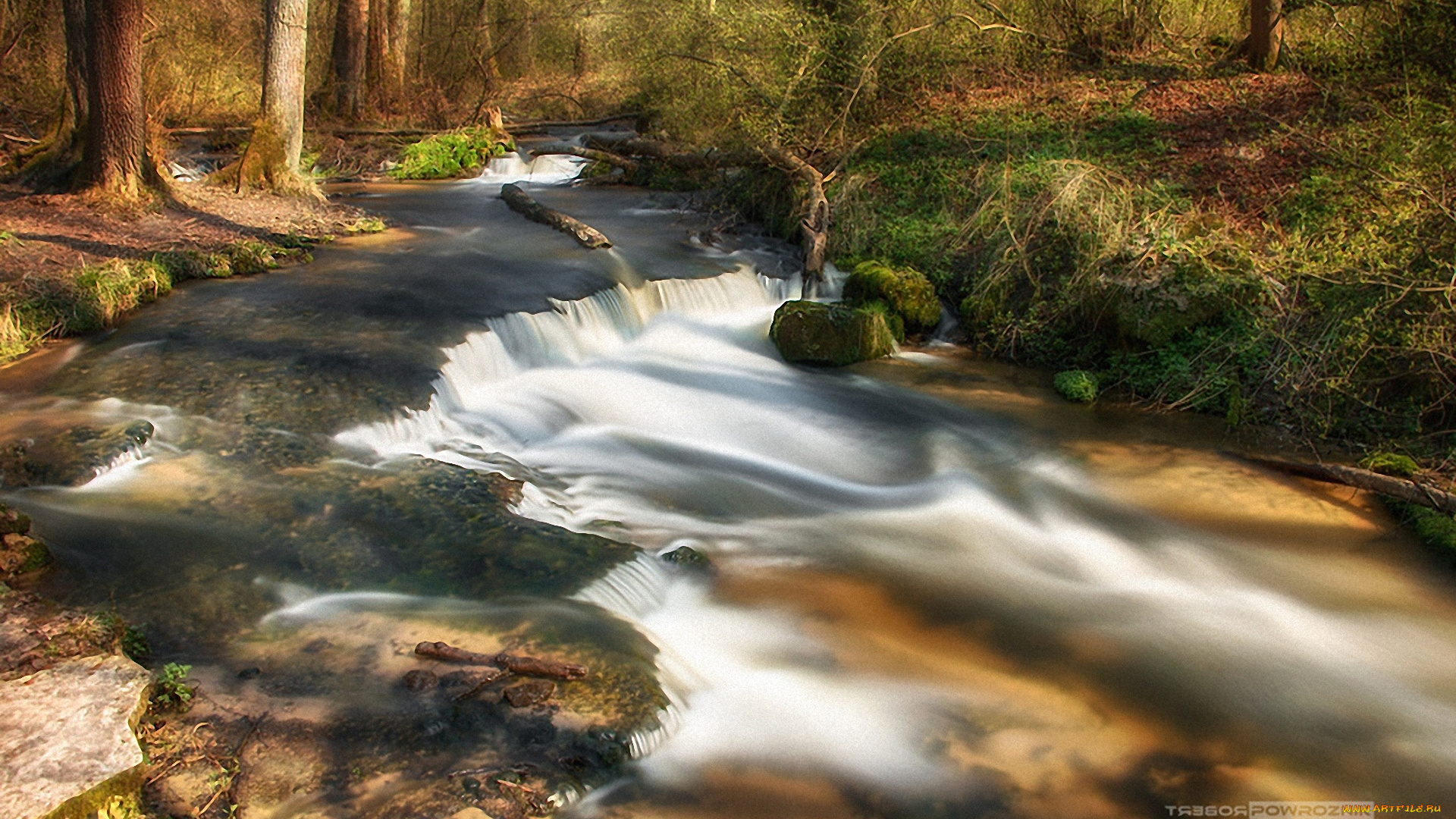 природа, реки, озера, лес, поток