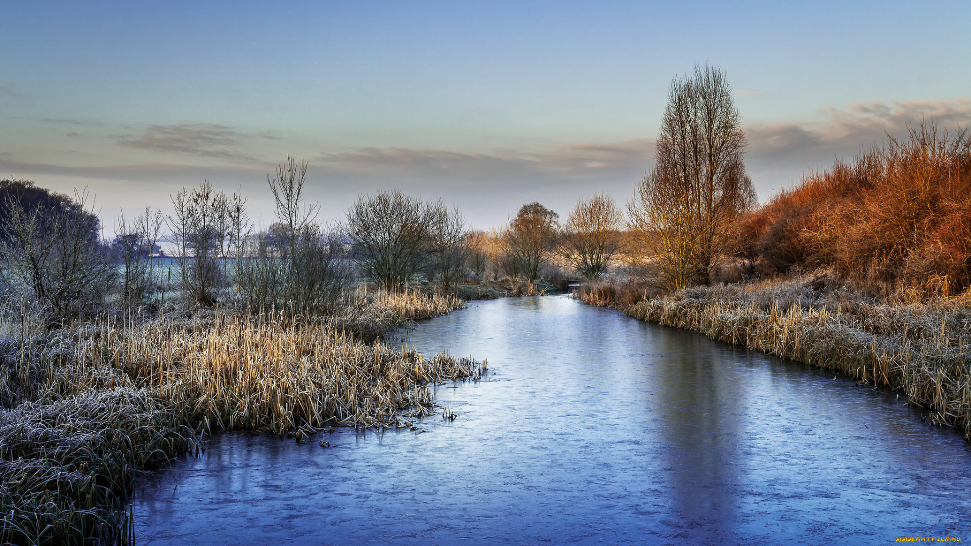 природа, реки, озера, лес, река